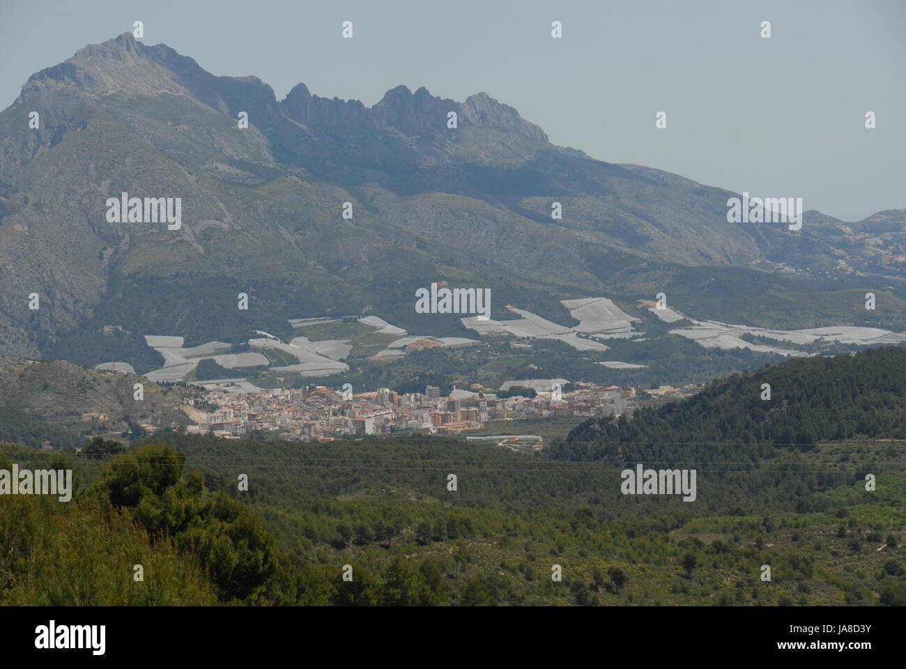 Progenies, Früchte, Kunststoff, Kunststoff, Pläne, Markise, Wintergarten, Stockfoto