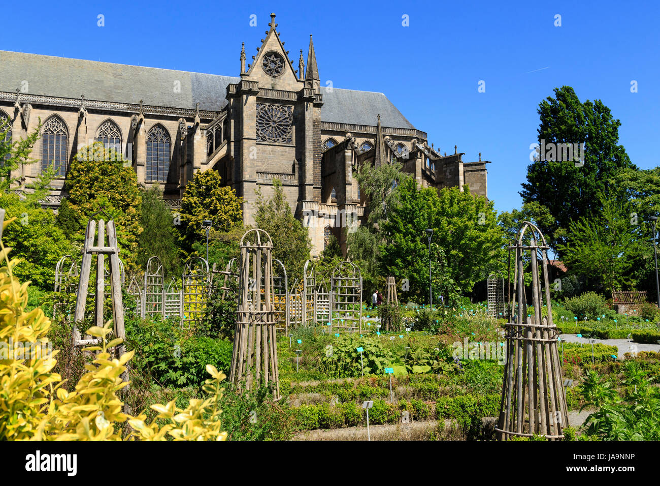 Frankreich, Haute Vienne, Limoges, der Jardin botanique de l'Eveche (Botanischer Garten des Bistums) und der Saint Etienne Kathedrale Stockfoto