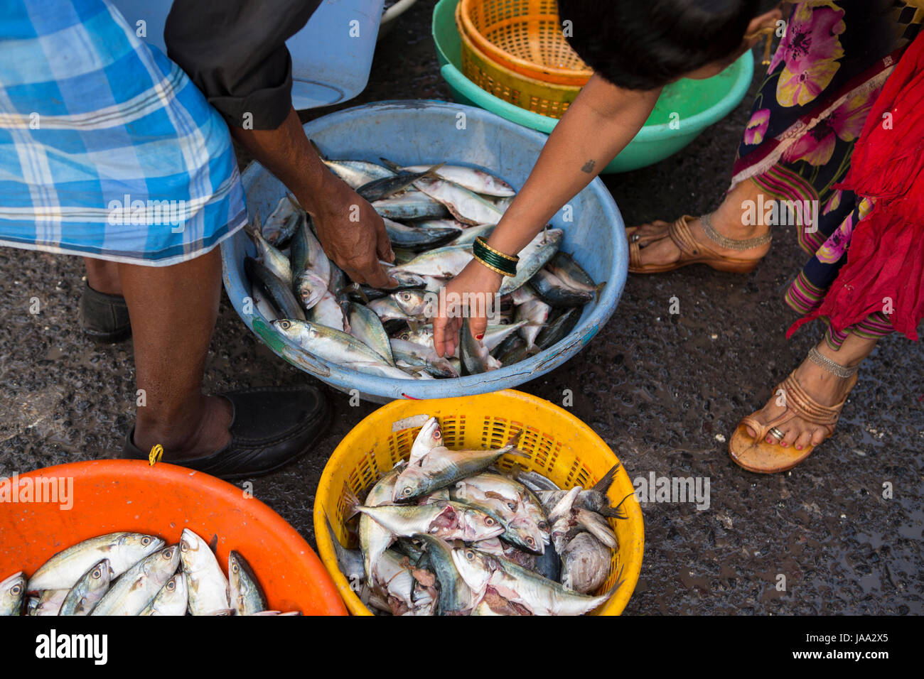 Fischer und Frauen kaufen und verkaufen Fisch aus einem bunten Wannen am Kai bei Sassoon Docks, Mumbai, Indien. Stockfoto