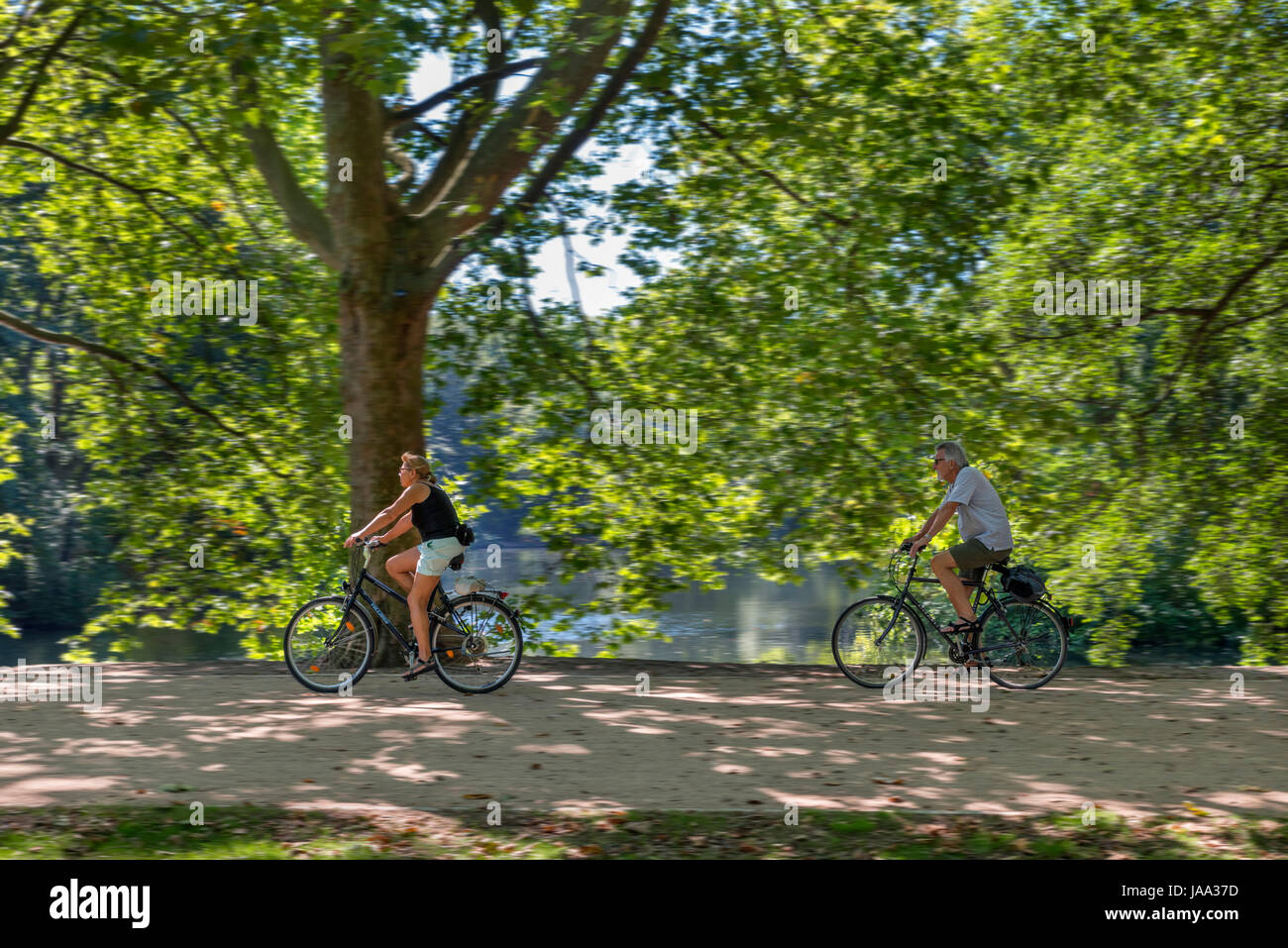 Radfahrer auf einem Pfad in der Nähe von Neuer See, Tiergarten, Berlin, Deutschland Stockfoto