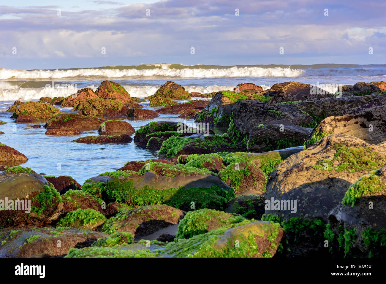 Bemoosten Steinen zwischen den Gewässern des Cal Beach in Torres-Stadt, Rio Grande do Sul Stockfoto