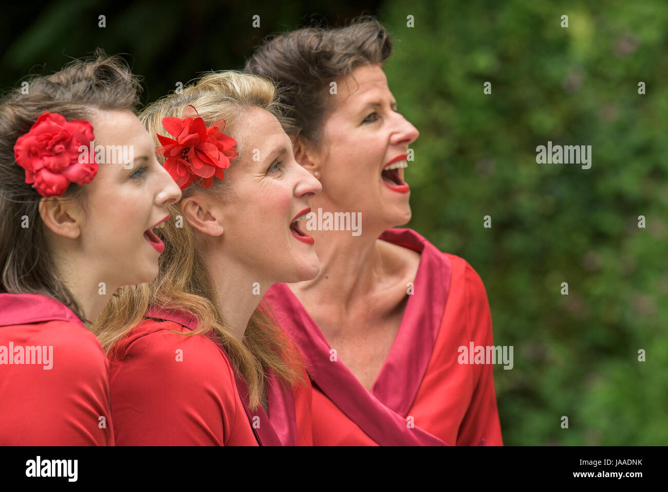 Cana Gesang an Trebah Garden Amphitheater in Cornwall. Stockfoto