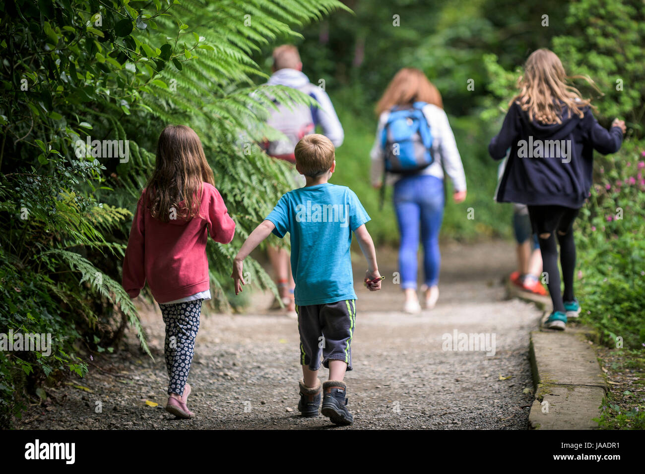 Eine Familie genießen Sie besuchen den Sub tropischen Trebah Garten in Cornwall. Stockfoto