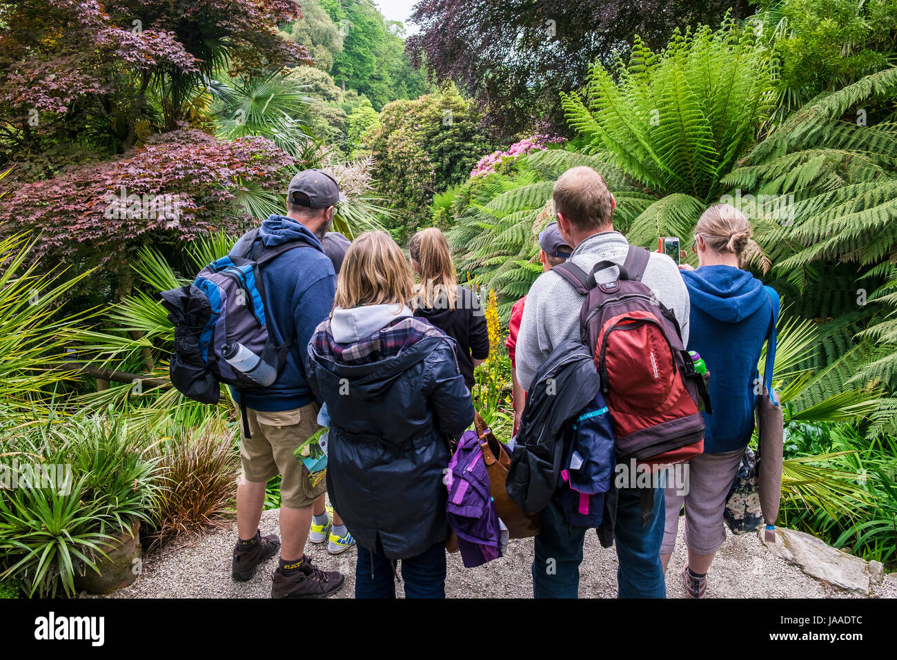 Eine Gruppe von Besuchern im Trebah Garden in Cornwall. Stockfoto