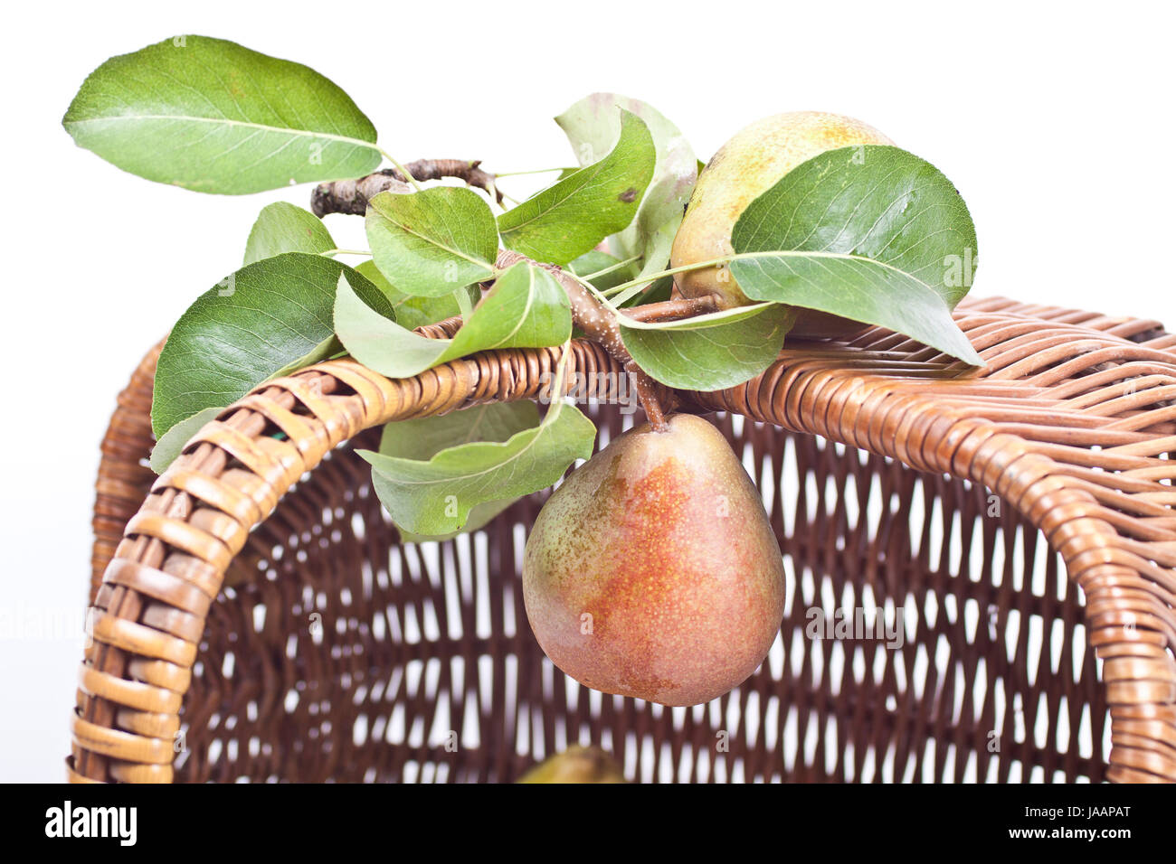Birnen Stockfoto
