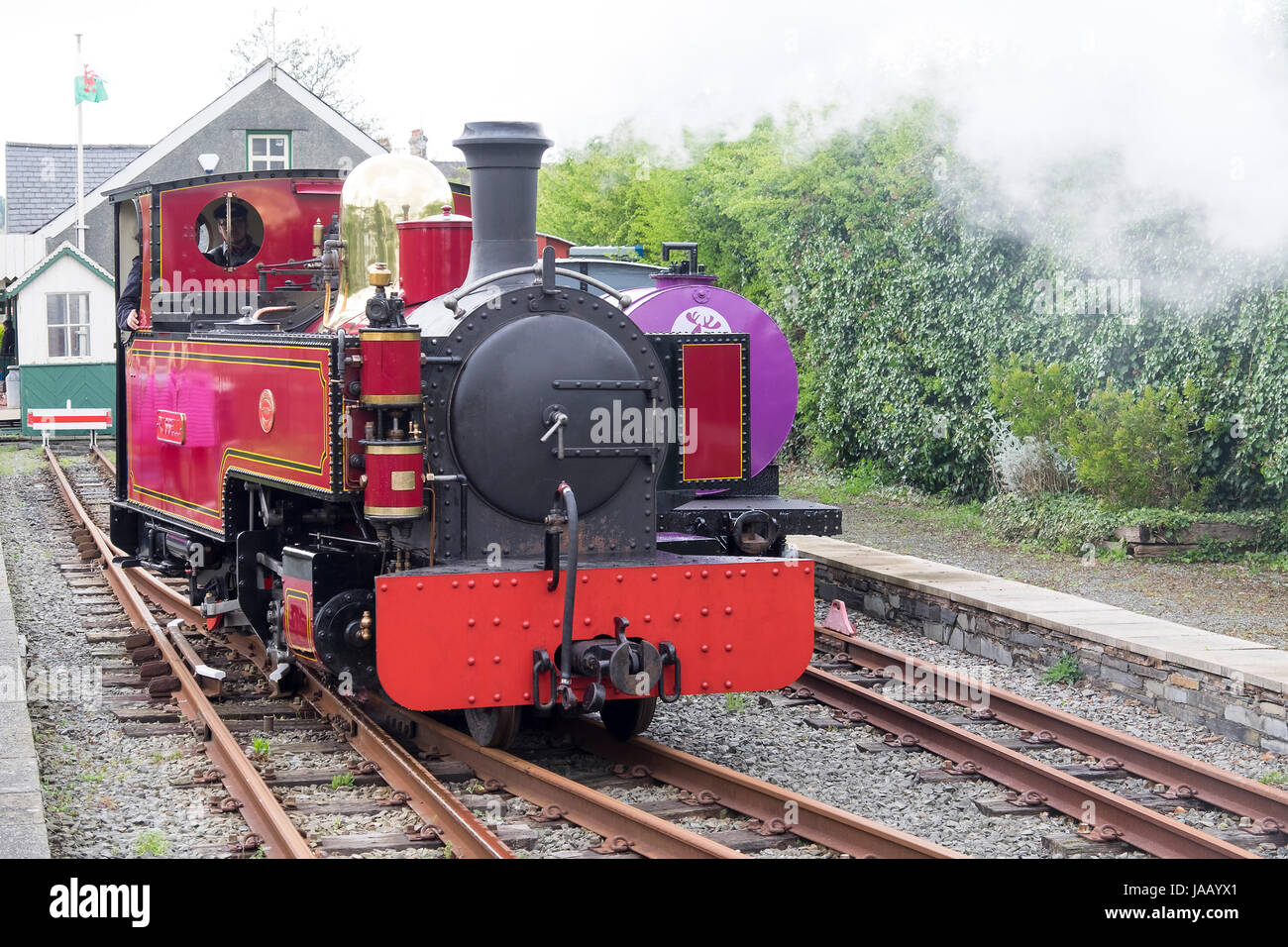 Schmalspur-Dampflokomotive auf der Welsh Highland Heritage Railway, Porthmadog Stockfoto