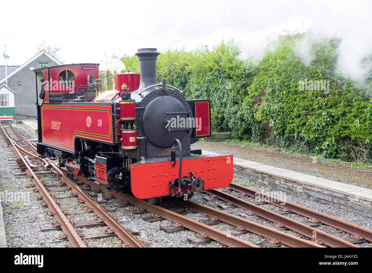 Schmalspur-Dampflokomotive auf der Welsh Highland Heritage Railway, Porthmadog Stockfoto