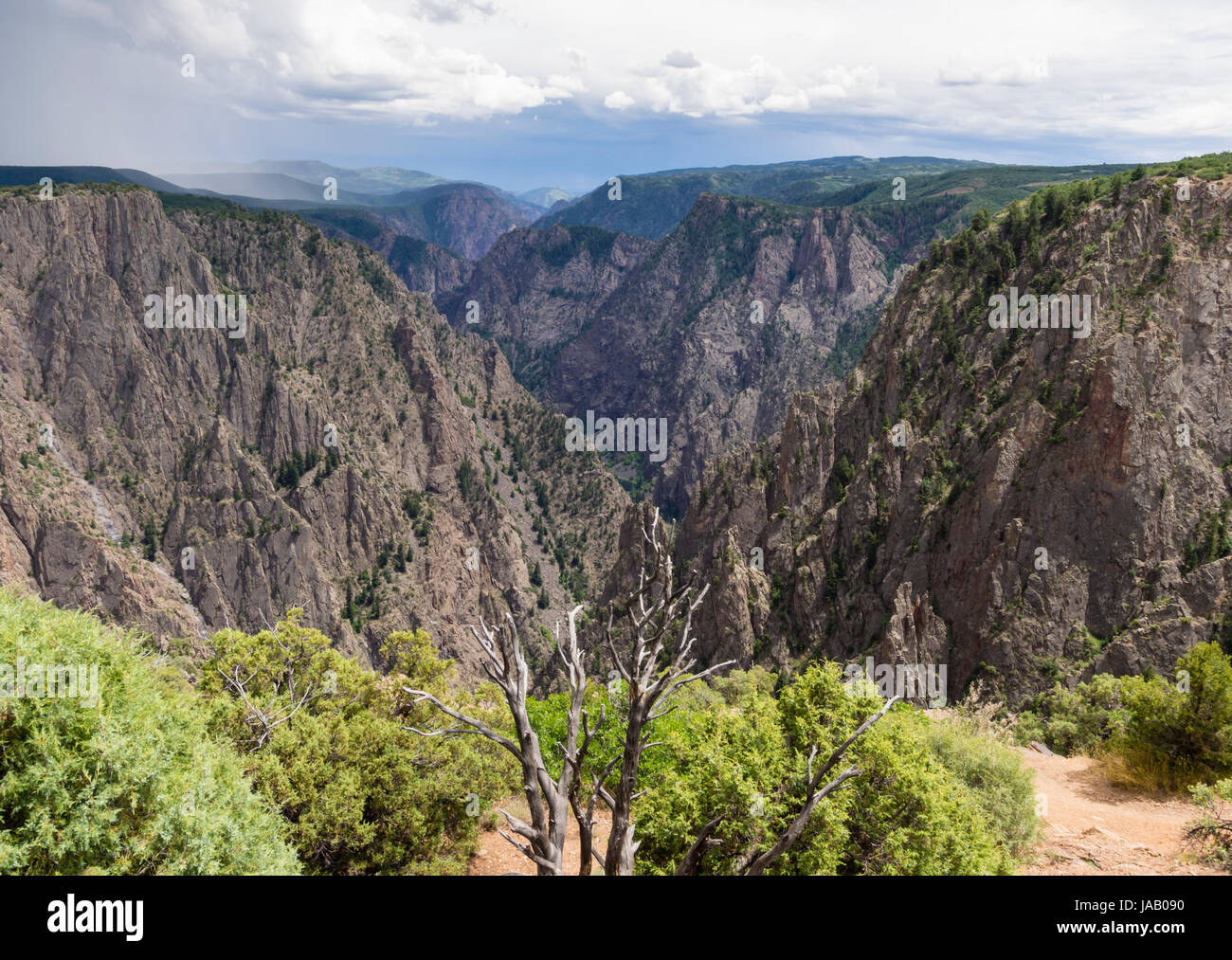 Am Rand der "Black Canyon des Gunnison" Nationalpark (Colorado, USA). Stockfoto