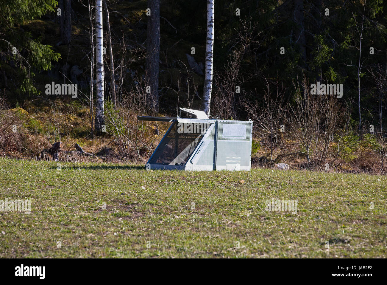 Falle für Wildschwein Stockfoto