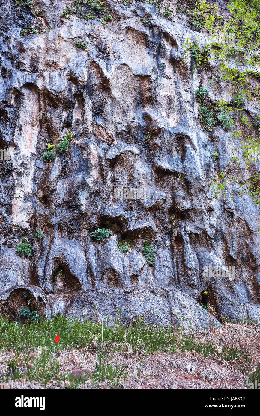 Rock mit einem bizarren Relief, Zion Nationalpark, Southern Utah, USA Stockfoto