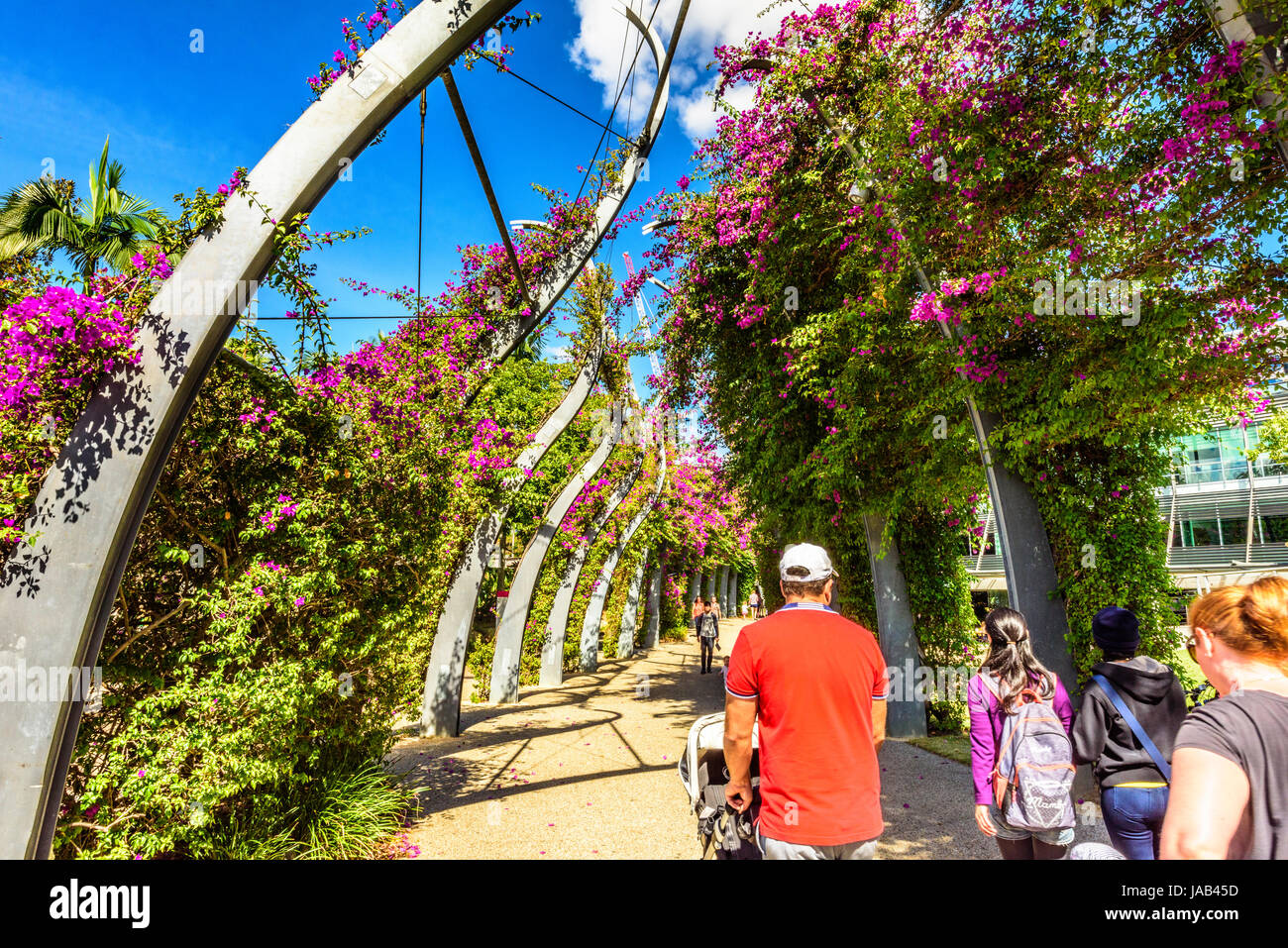 Brisbane River, Southbank und botanische Gärten Stockfoto