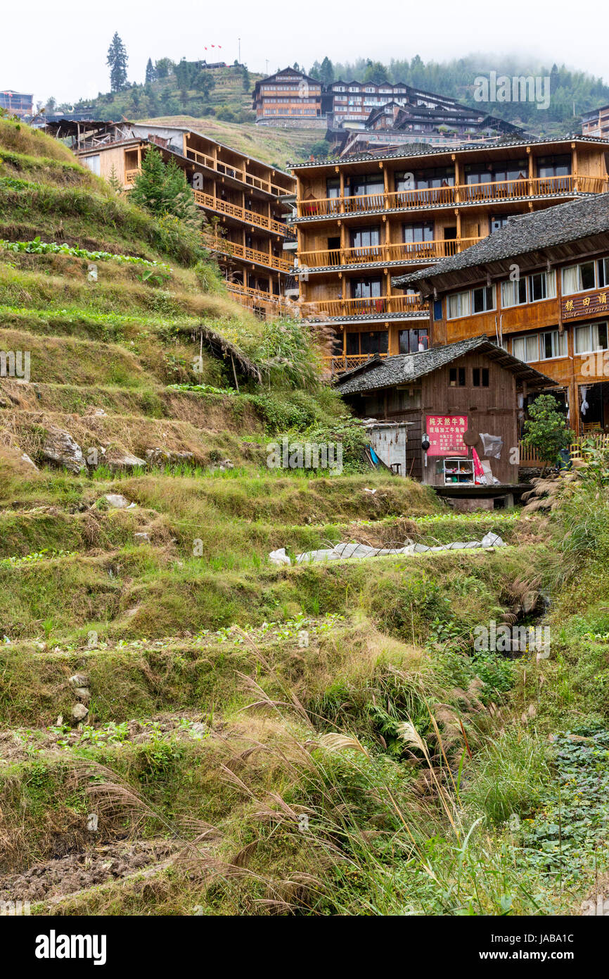 Longji, China.  Reis-Terrassen und Häuser am steilen Hang. Stockfoto