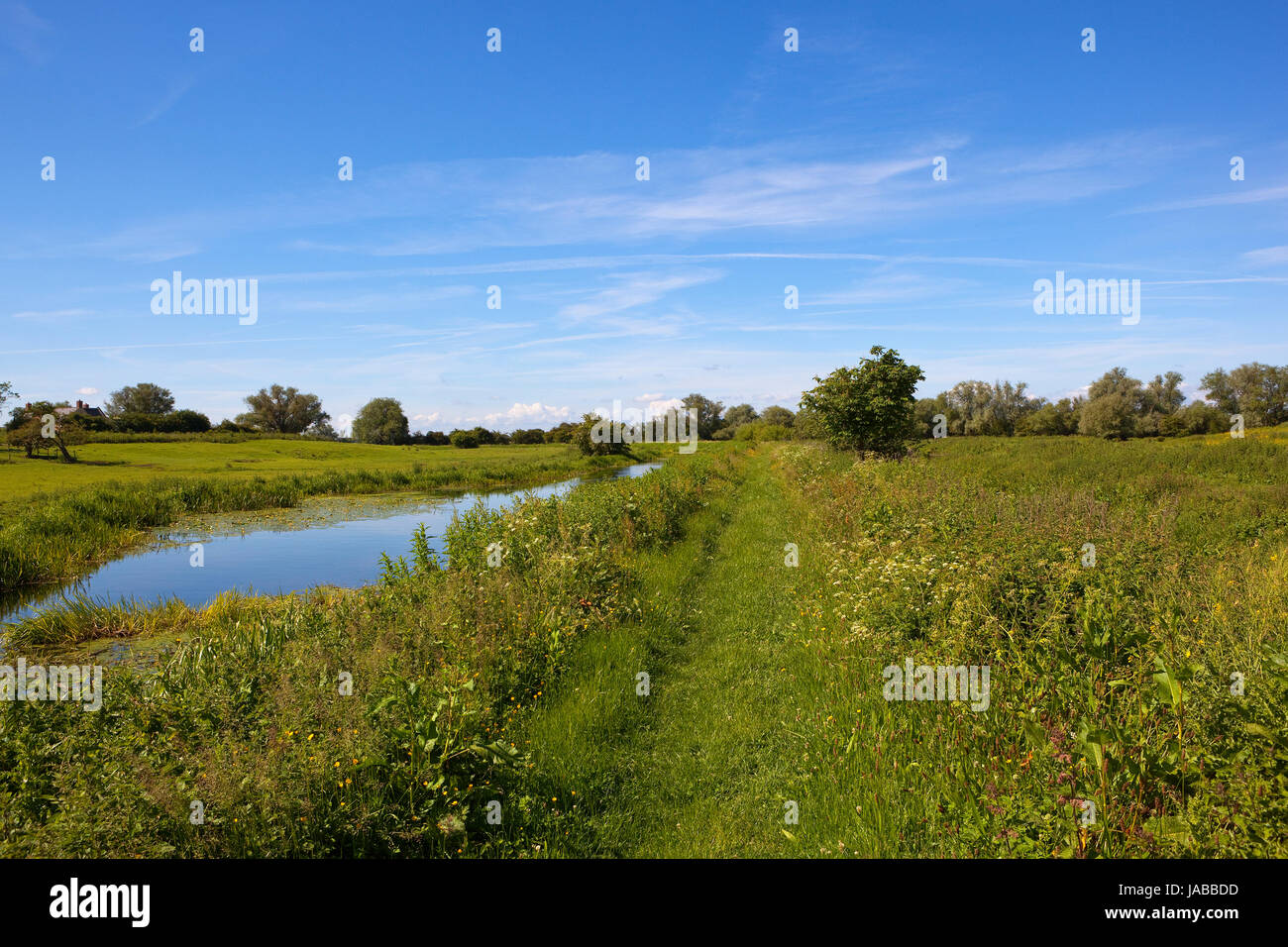 ein Teil der malerischen Kanal neben Weiden Weiden und ein Wanderweg mit Wäldern und Weißdorn Bäume unter blauem Himmel im Sommer in yorkshire Stockfoto