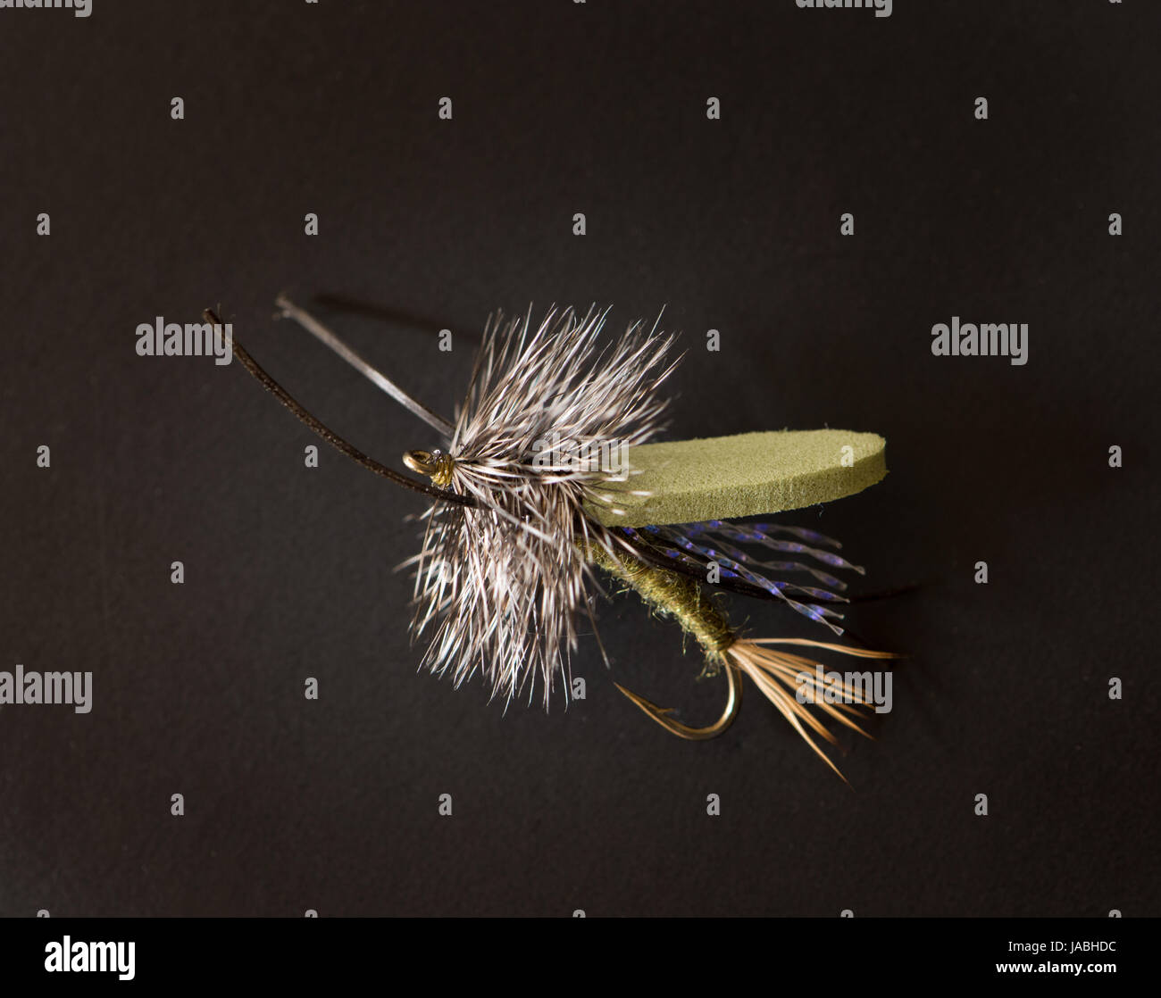 Nahaufnahme von einem olivgrünen Schaum Fliegenfischen fliegen mit Schaum Flügel und schillernden lila Threads vor einem schwarzen Hintergrund. Stockfoto