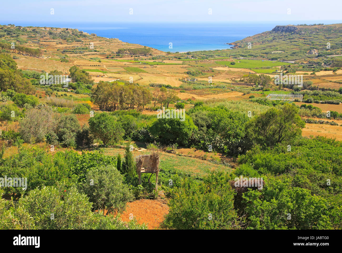 Ländliche Kulturlandschaft von Xaghra, Ramla Bay, Insel Gozo, Malta Stockfoto