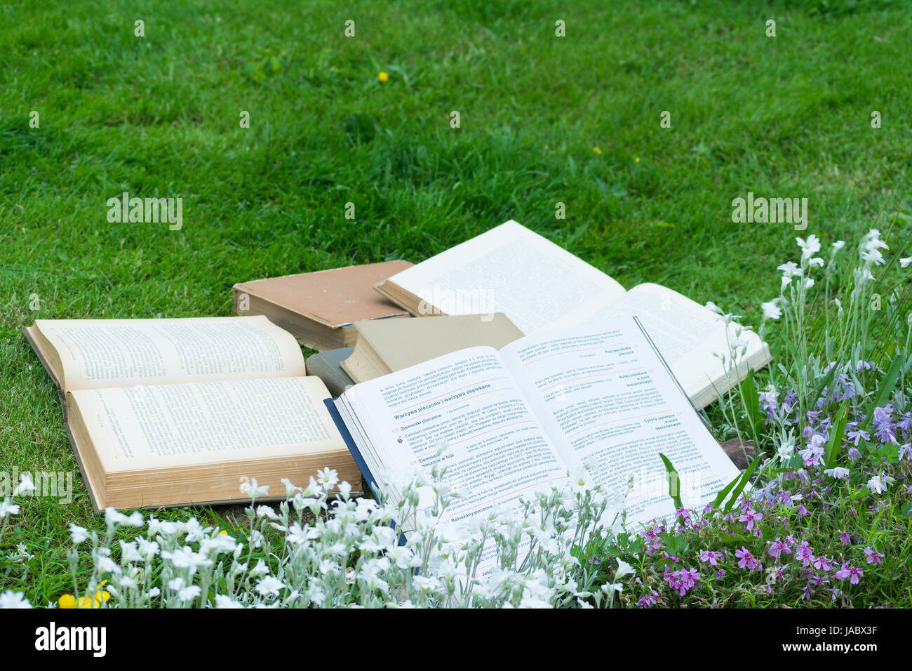 Buchen Sie auf dem Gras Stockfoto