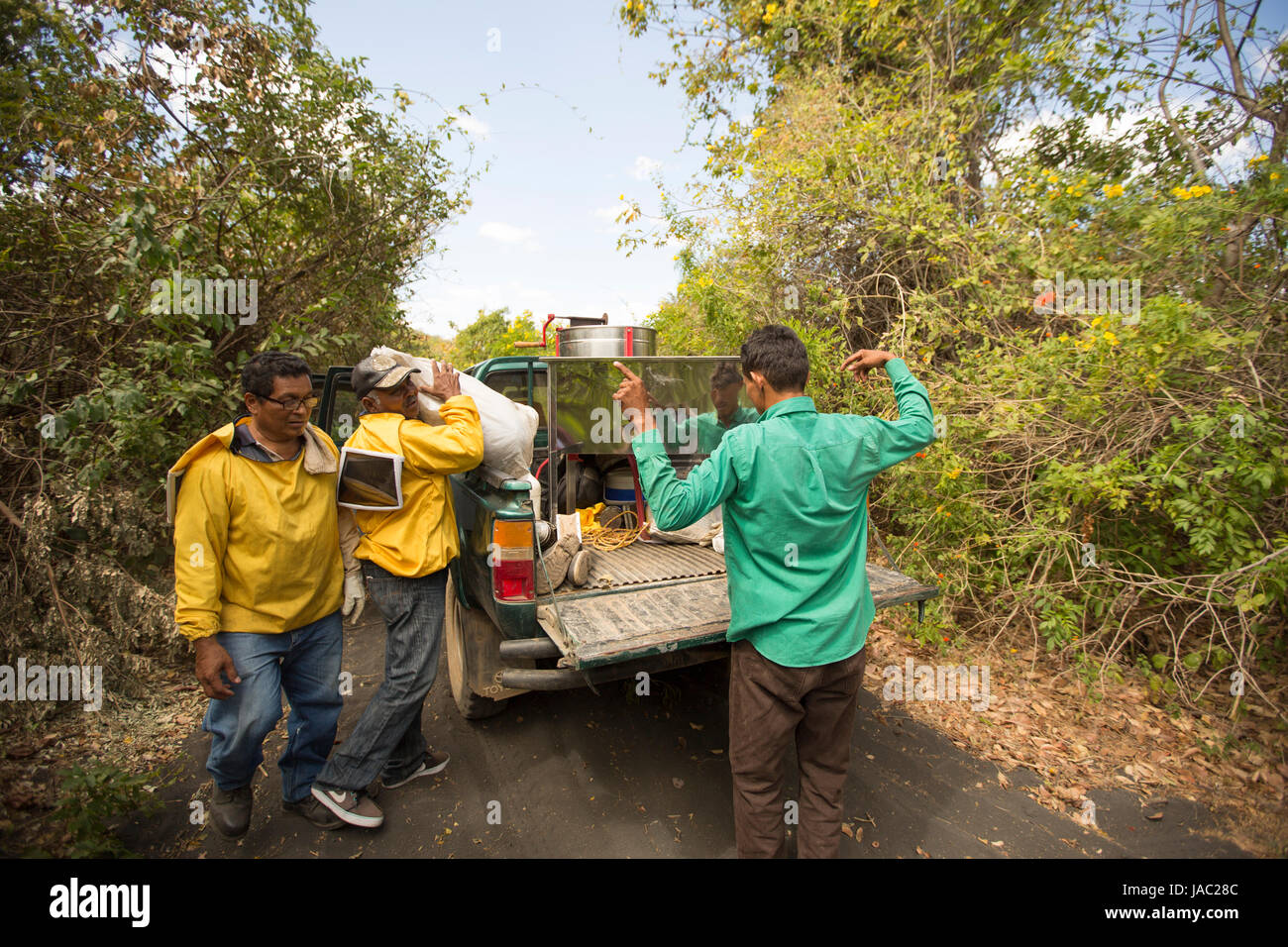 Honig-Bauern bereiten zu ernten und Honig aus den Bienenstöcken in Léon Abteilung, Nicaragua zu extrahieren. Stockfoto