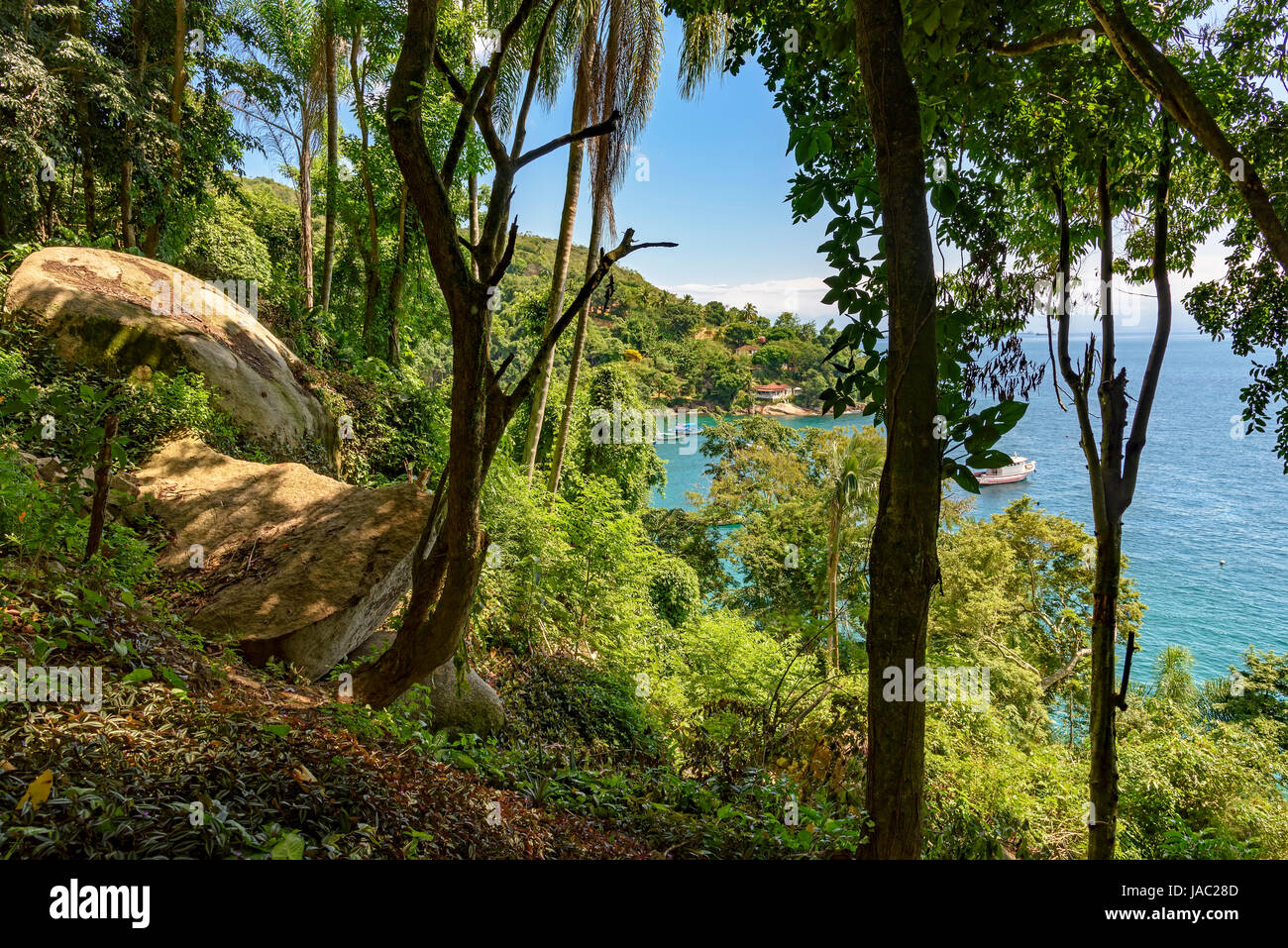 Blick auf das Meer durch die Äste und Bäume des Waldes Regenwald in die grüne Küste von Rio De Janeiro, outdoor, Natur, Dschungel, Tourismus, Küste Stockfoto