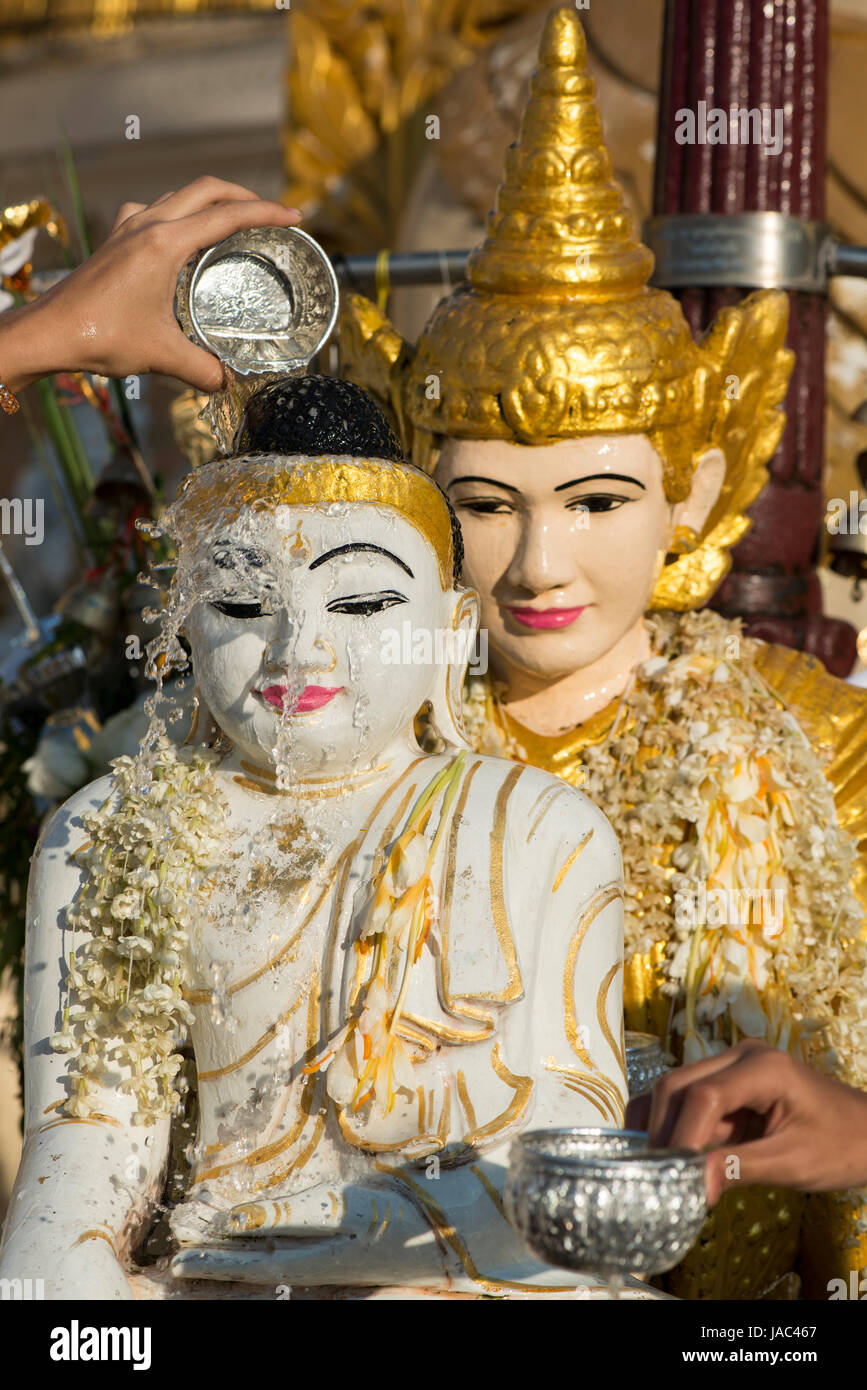 Ein Pilger taucht eine Statue des Buddha mit Wasser als Zeichen des Glücks in der Shwedagon-Pagode in Yangon (Rangoon), Myanmar (Burma) Stockfoto