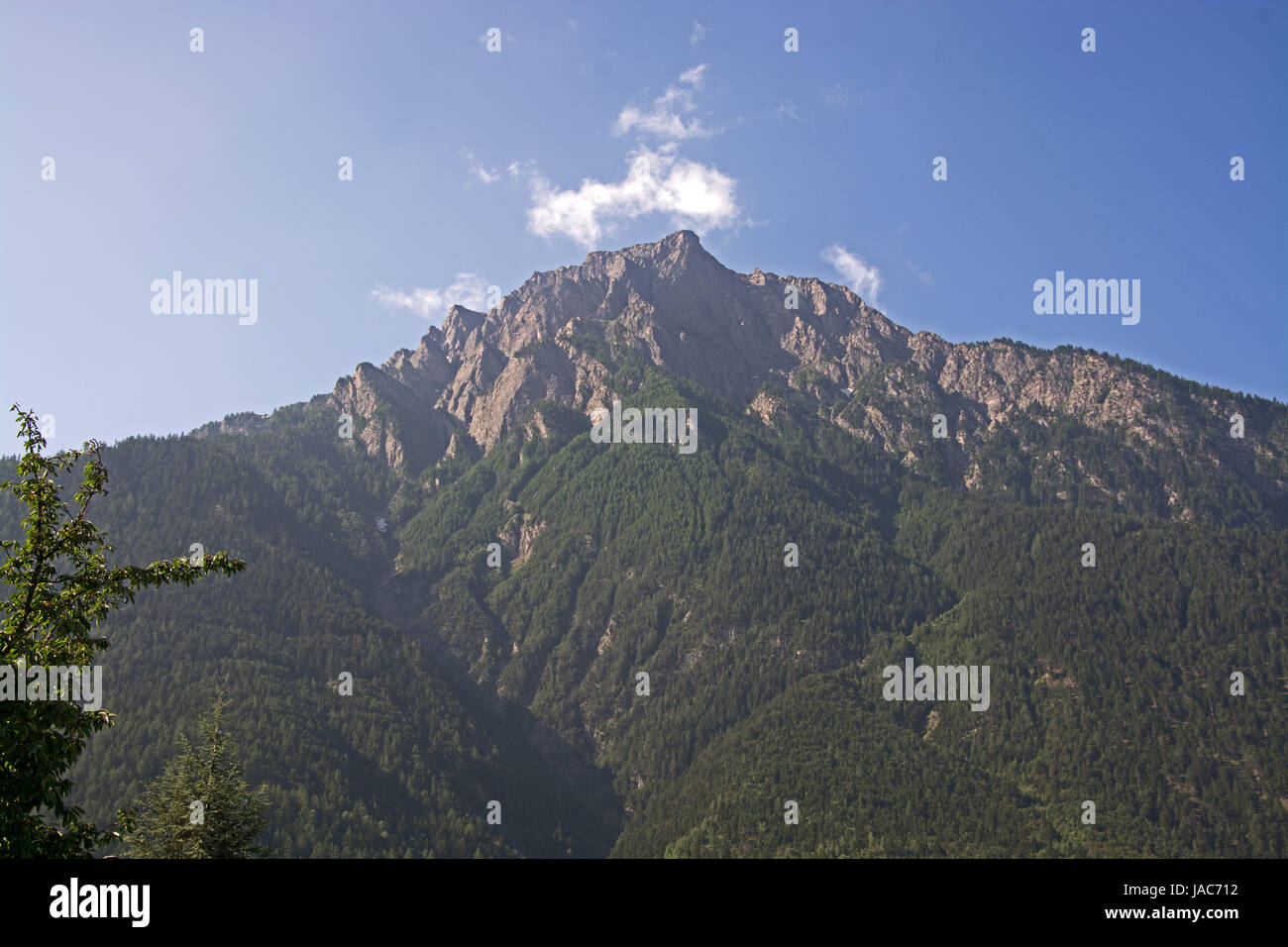 Schweiz, Wallis, Aletsch Stockfoto