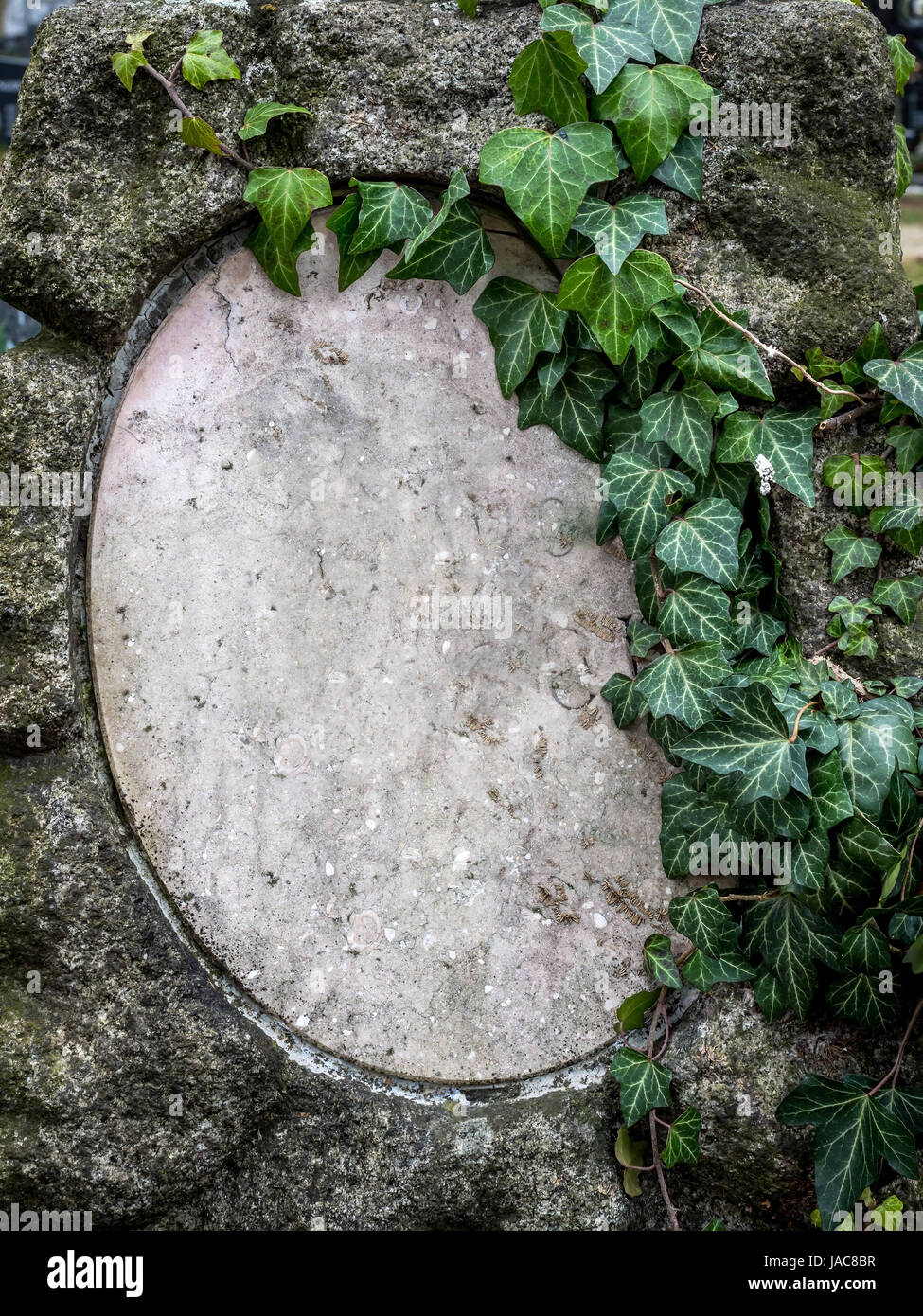 Auf einem Grabstein auf dem Friedhof rankt Efeu sich, Auf Einem Grabstein in Einem Friedhof Rankt Sich Efeu Stockfoto