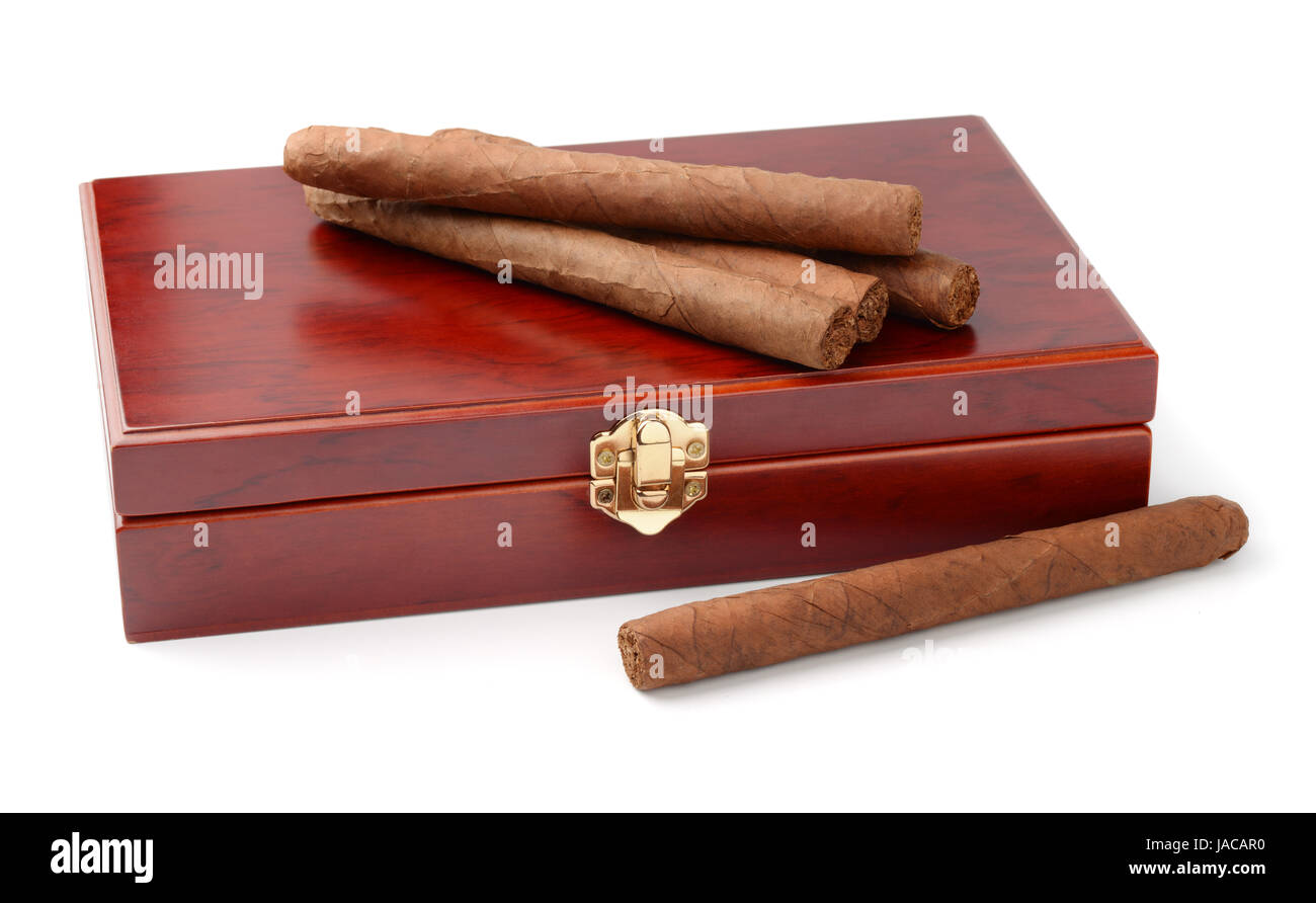 Zigarren und Humidor isoliert auf weiss Stockfoto