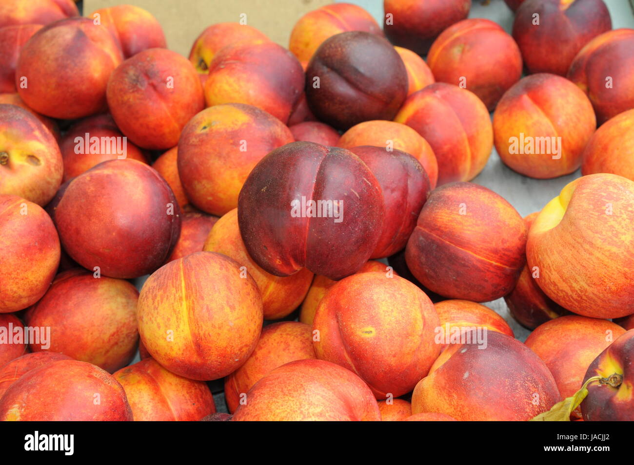 Persischer apfel -Fotos und -Bildmaterial in hoher Auflösung – Alamy