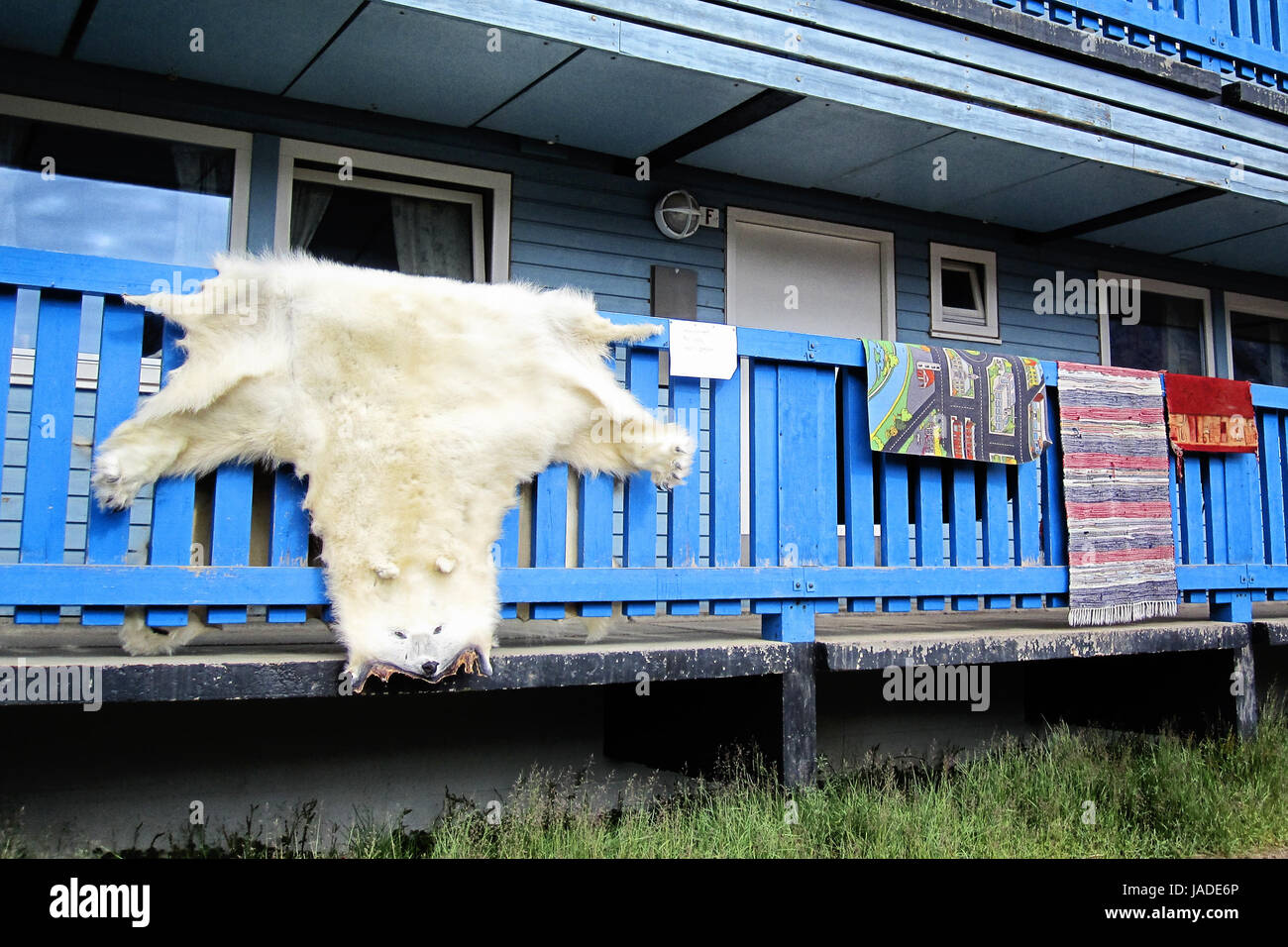 Eisbarenfell Luftet Neben Ikea Teppich Gronland Stockfotografie Alamy
