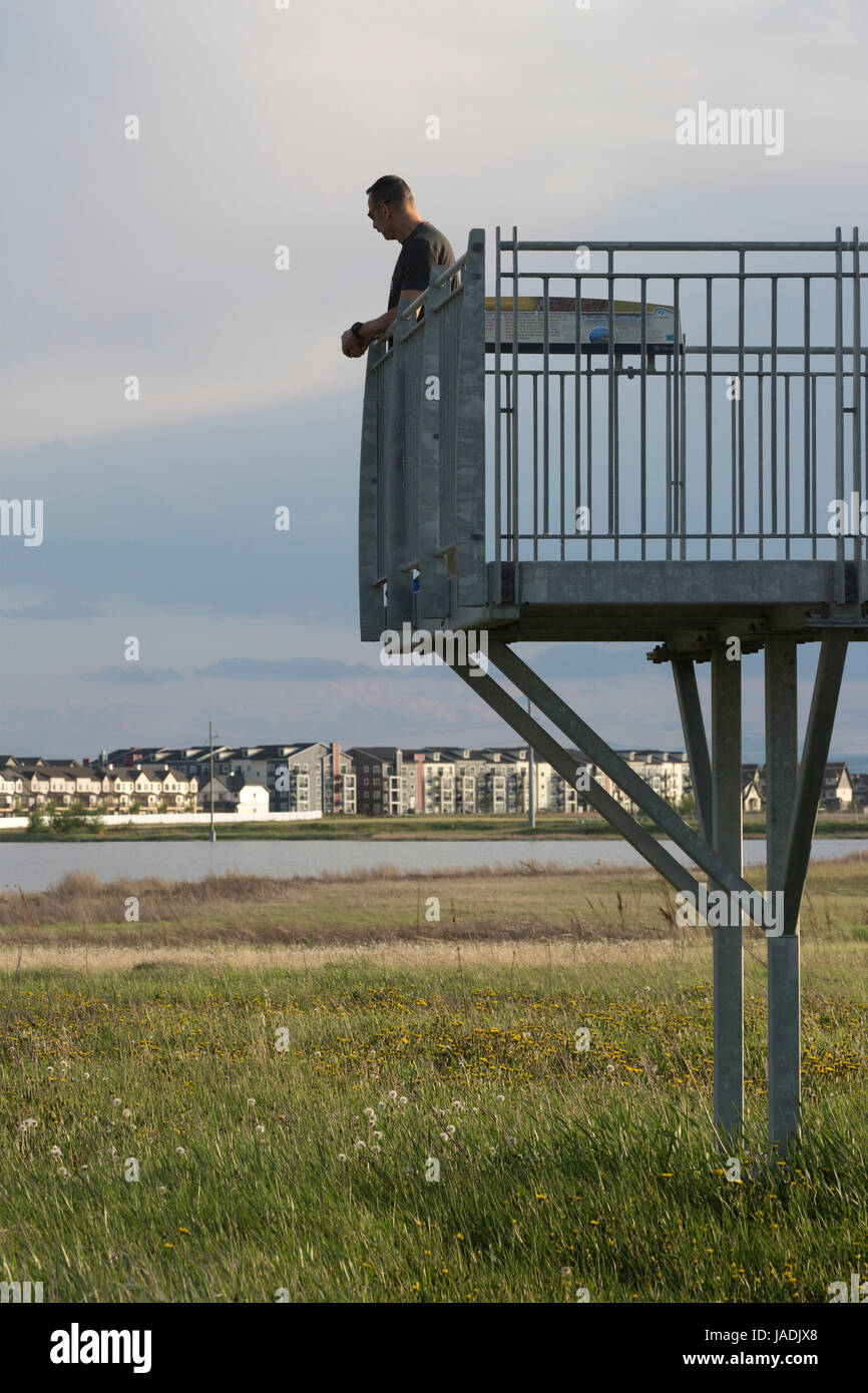 Mann-Vogelbeobachtung vom Turm in Stadt Feuchtgebiet Stockfoto