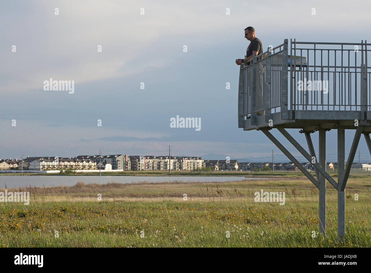 Mann-Vogelbeobachtung vom Turm in Stadt Feuchtgebiet Stockfoto
