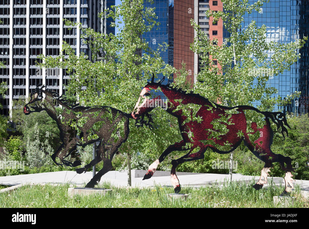 Galoppierende Pferde in Calgary "Do Re Mi Fa Sol La Si Do" von Bildhauer Joe Fafard für 400-jähriges Jubiläum von Quebec City. Calgary und Quebec sind Partnerstädte. Stockfoto
