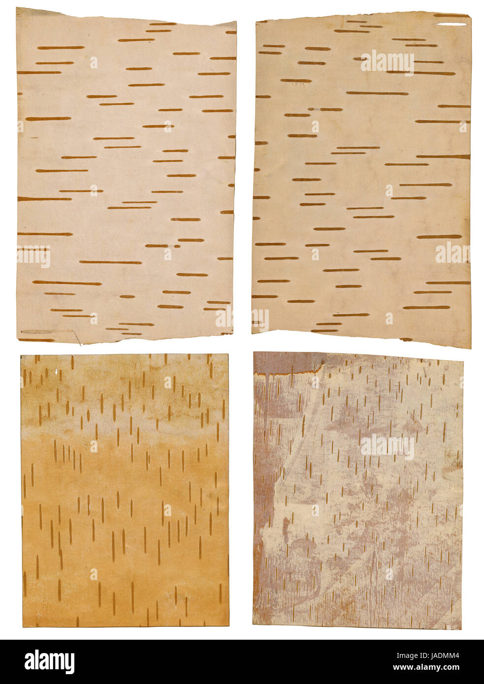 Vier Stücke von antiken Birke Rinde Papier. Stockfoto