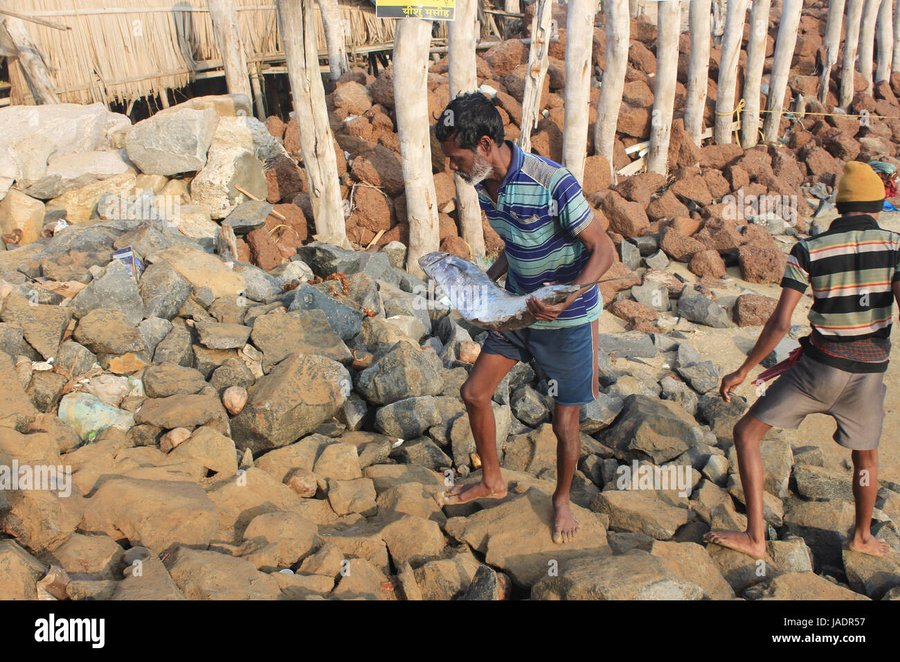 Digha, West-Bengalen in Indien am 7. Februar 2017 - Fischer sammeln Fische in die Küste Digha, Indien. Fischer arbeiten. Stockfoto