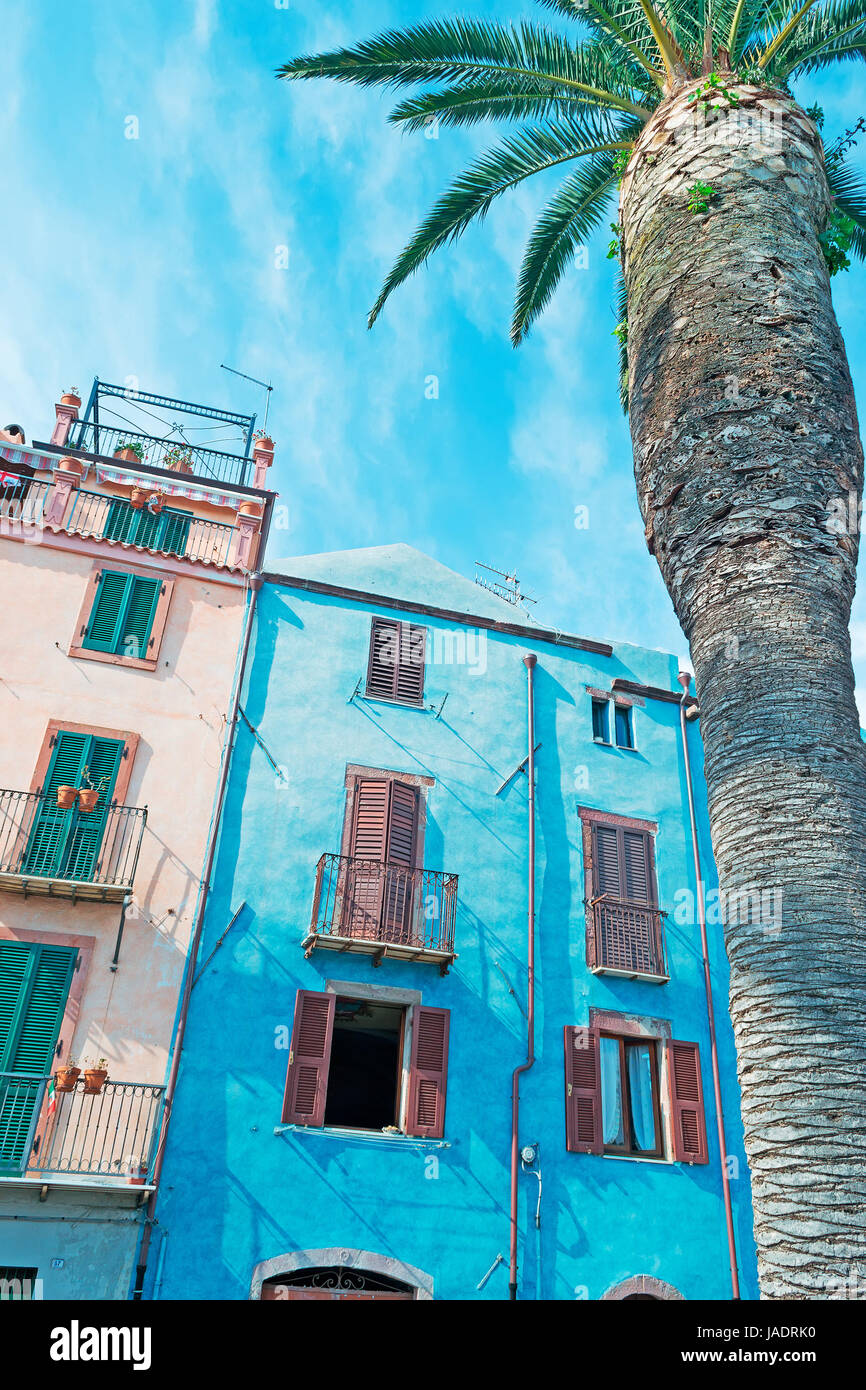 blaues Gebäude und große Palme in Bosa Stockfoto