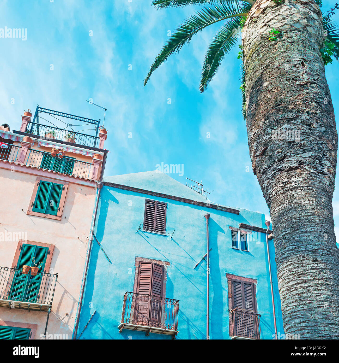 blaues Gebäude und große Palme in Bosa Stockfoto