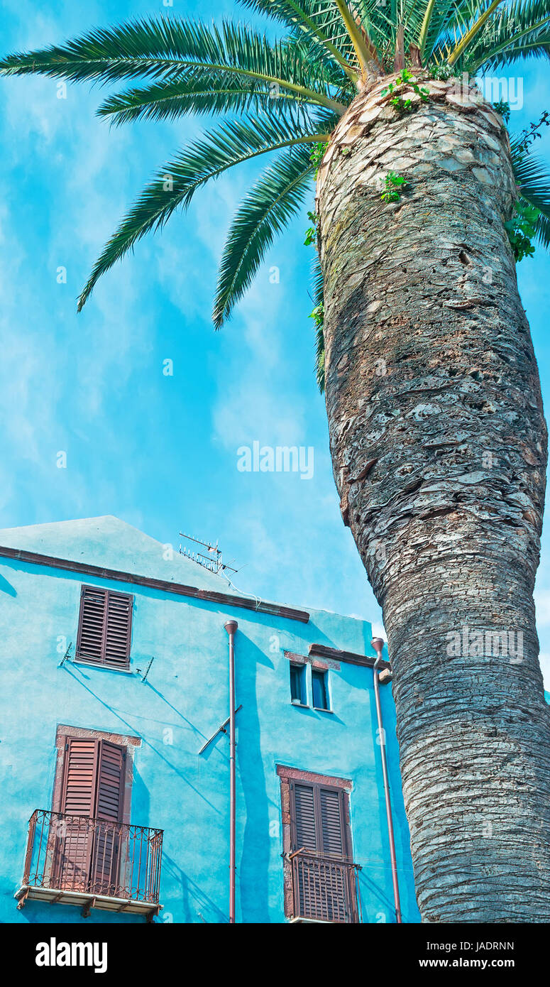 blaues Gebäude und große Palme in Bosa Stockfoto