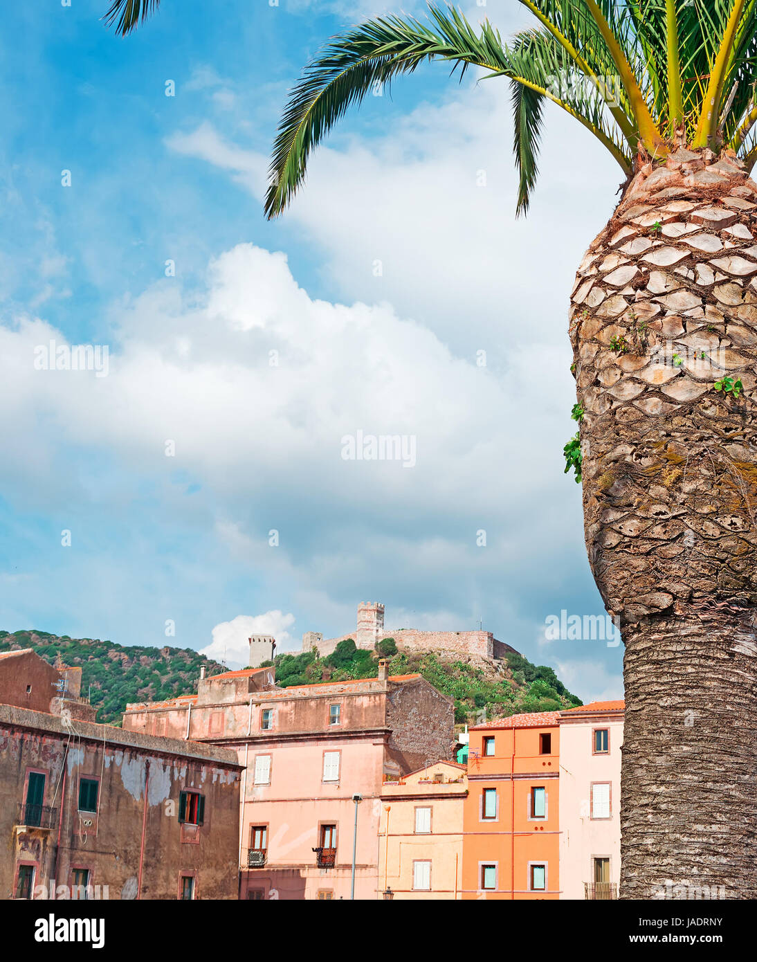 Bosa Gebäude und Schloss hinter einer Palme Stockfoto