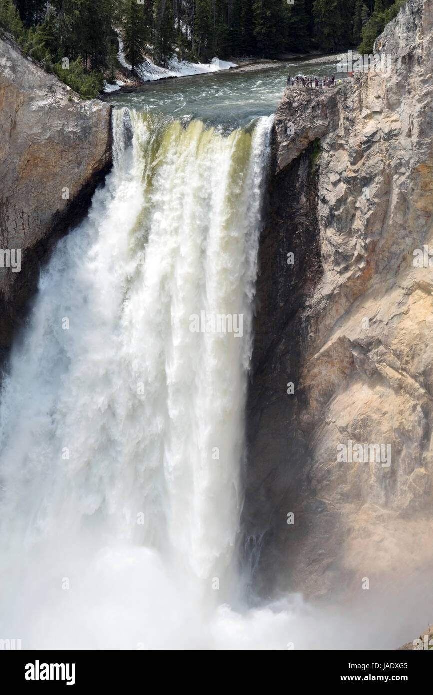 Lower Falls auf dem Yellowstone River in den Grand Canyon des Yellowstone National Park in Wyoming, USA. Stockfoto