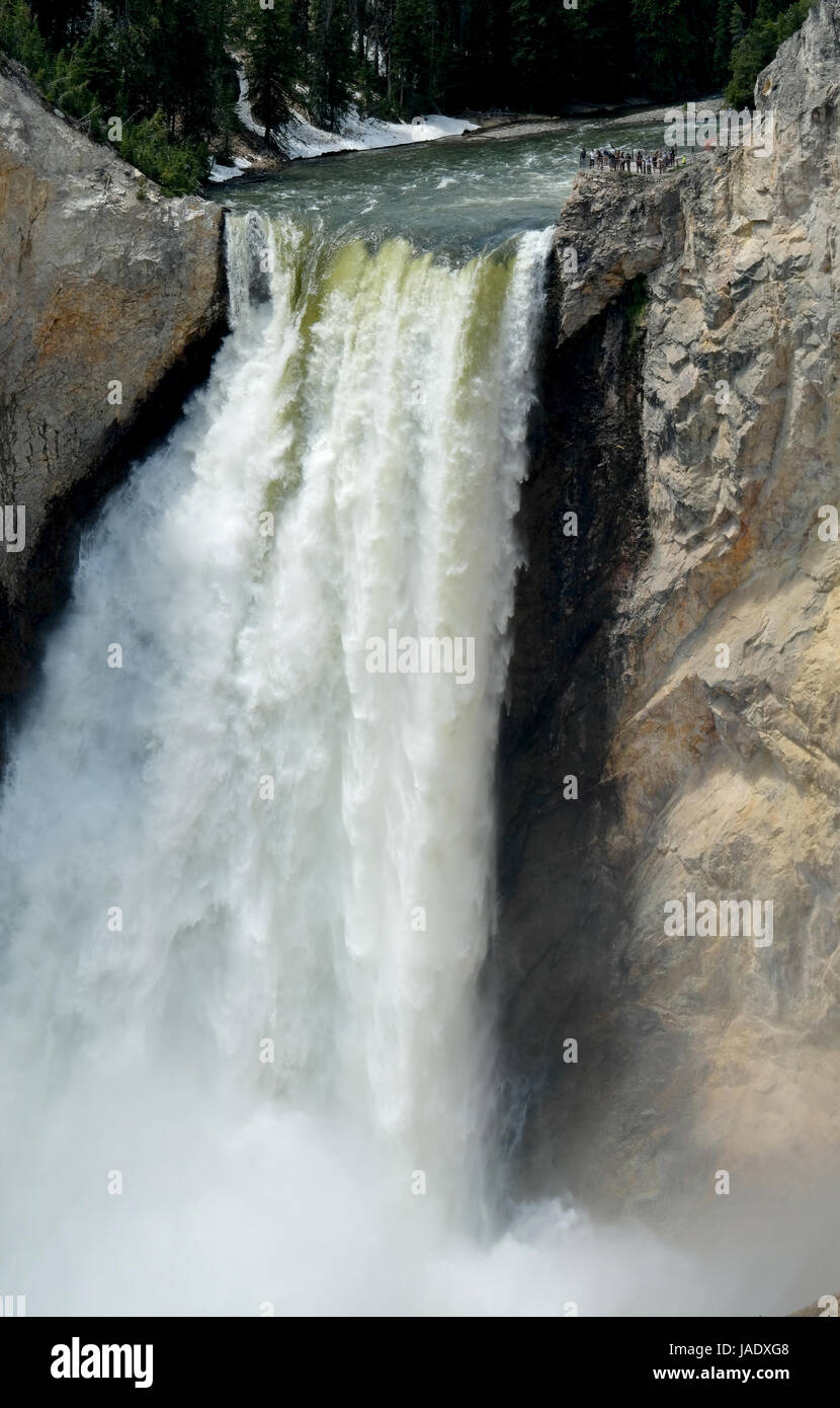 Lower Falls auf dem Yellowstone River in den Grand Canyon des Yellowstone National Park in Wyoming, USA. Stockfoto