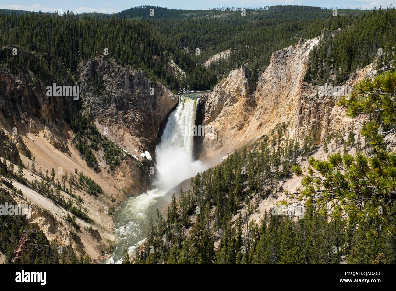 Lower Falls auf dem Yellowstone River in den Grand Canyon des Yellowstone National Park in Wyoming, USA. Stockfoto