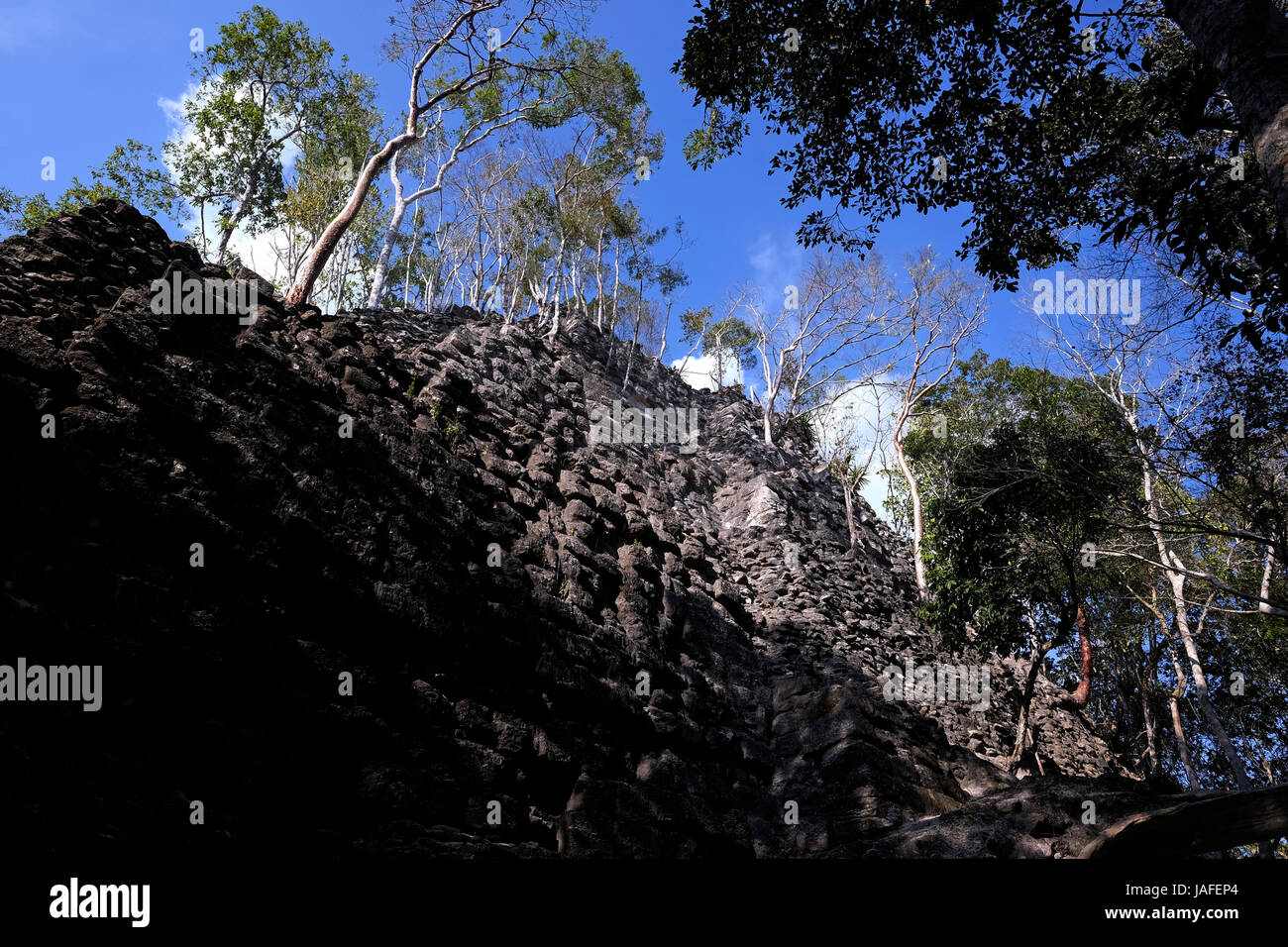 Blick auf El Dante die größte triadische Pyramidenstruktur jemals bauen in der Maya-Welt noch teilweise von Bäumen bedeckt, erhebt sich über den Dschungel Vordach an El Mirador eine große präkolumbische Maya-Siedlung, an einem Remotestandort befindet sich tief im Dschungel in der nördlich der modernen Abteilung des El Petén, Guatemala Stockfoto