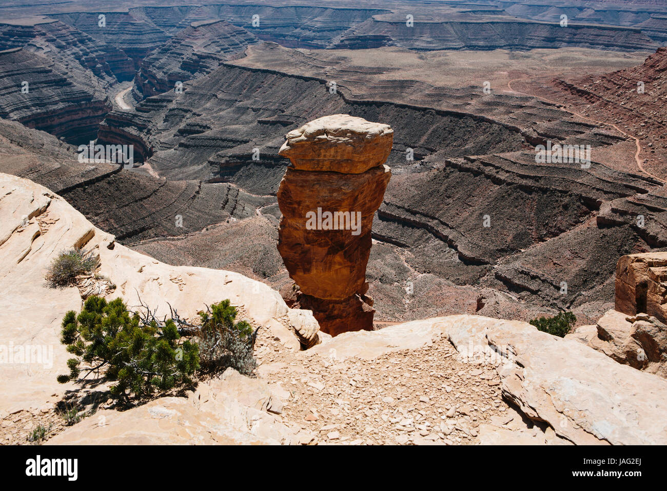 Alternativsäge Punkt im Herzen des Bären Ohren National Monument, eine riesige 1,3 Millionen Hektar große Fläche der Wildnis. San Juan Canyon. Stockfoto