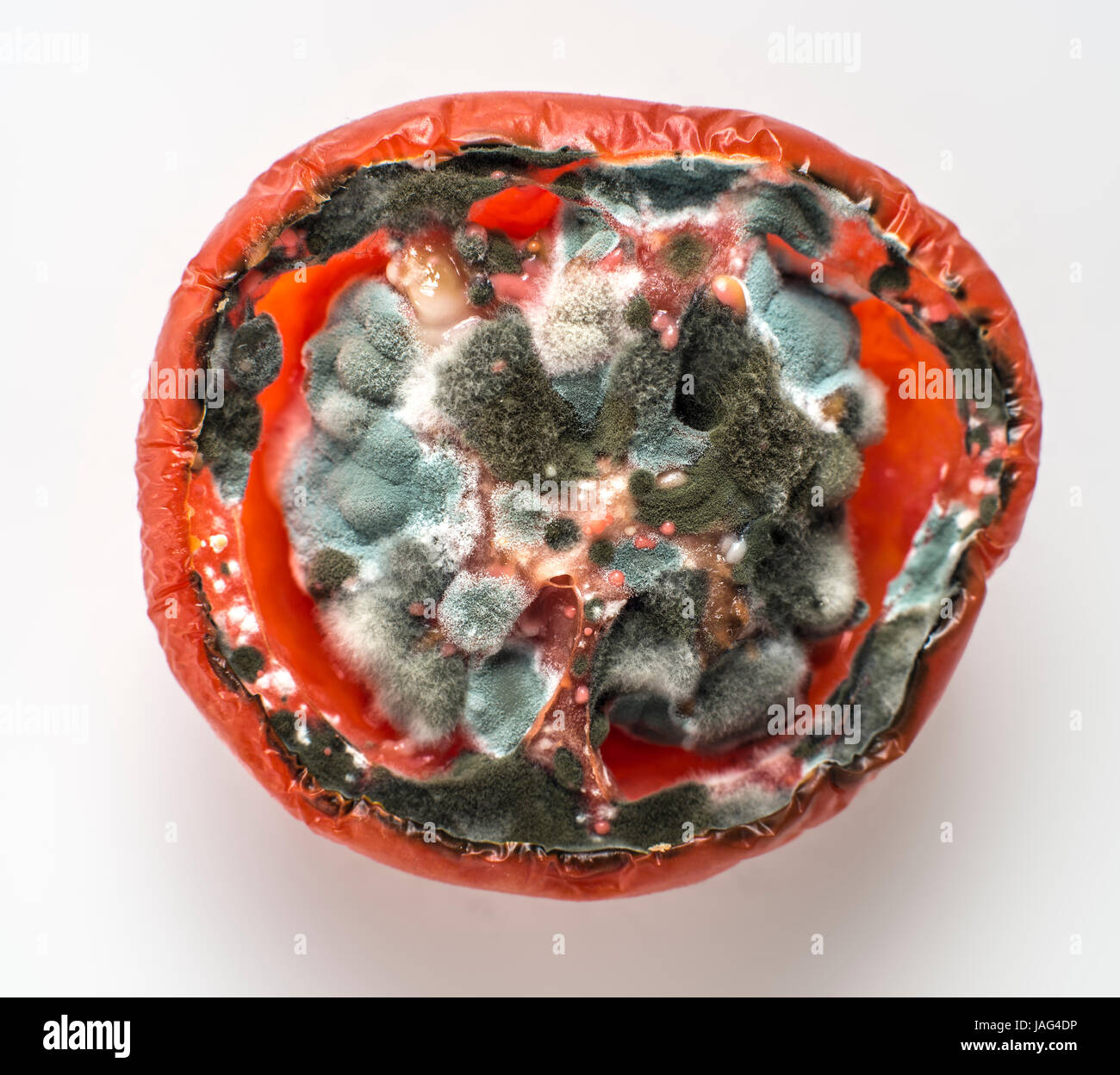 Faule Tomaten Stockfoto