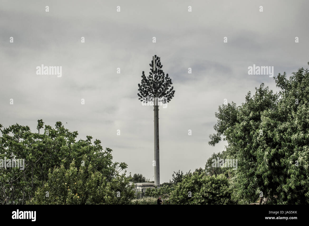 Fernmeldeturm arial als Baum verkleidet Stockfoto