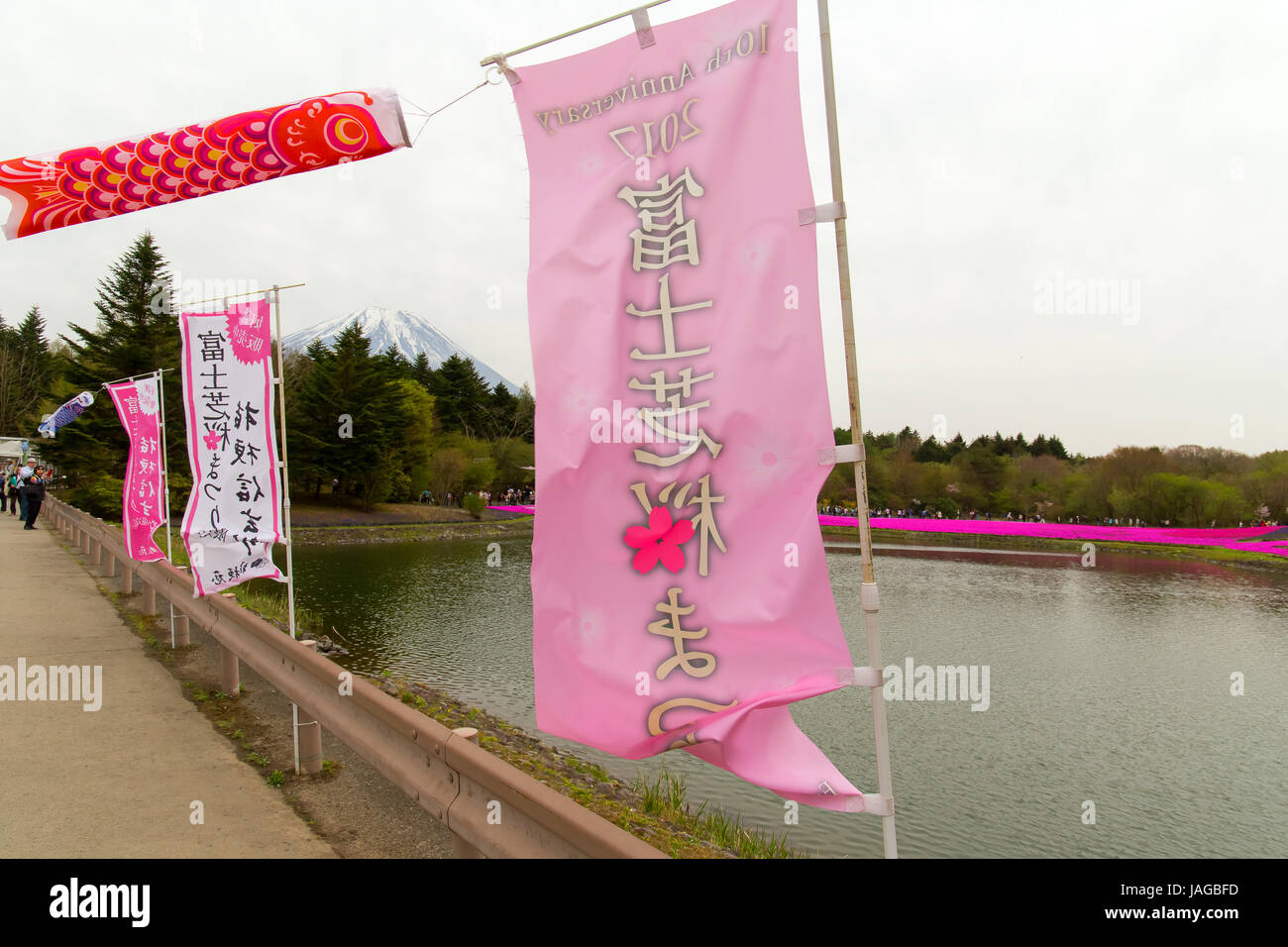 Blumenschau Fuji Shiba-Sakura Festival, Japan. Stockfoto