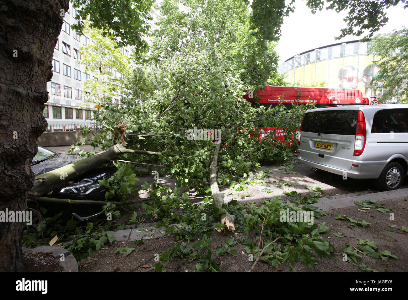 Äste eines Baumes auf ein Auto und Bus in Waterloo, London, nach starken Regenfällen. Stockfoto