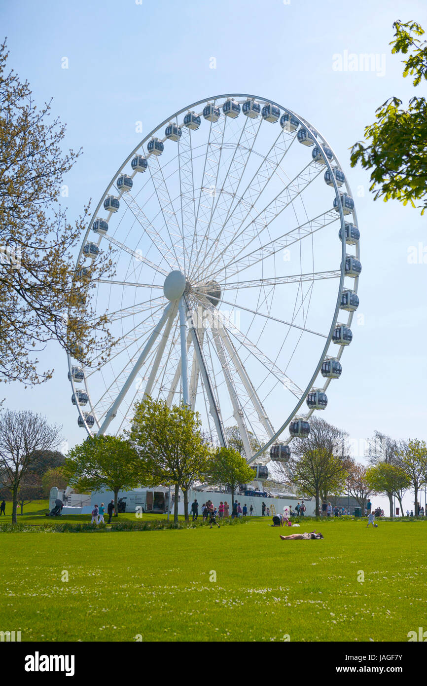 Das Riesenrad von Plymouth, eine 60-Meter-Riesenrad auf der Hacke, Plymouth, Devon, England, UK Stockfoto