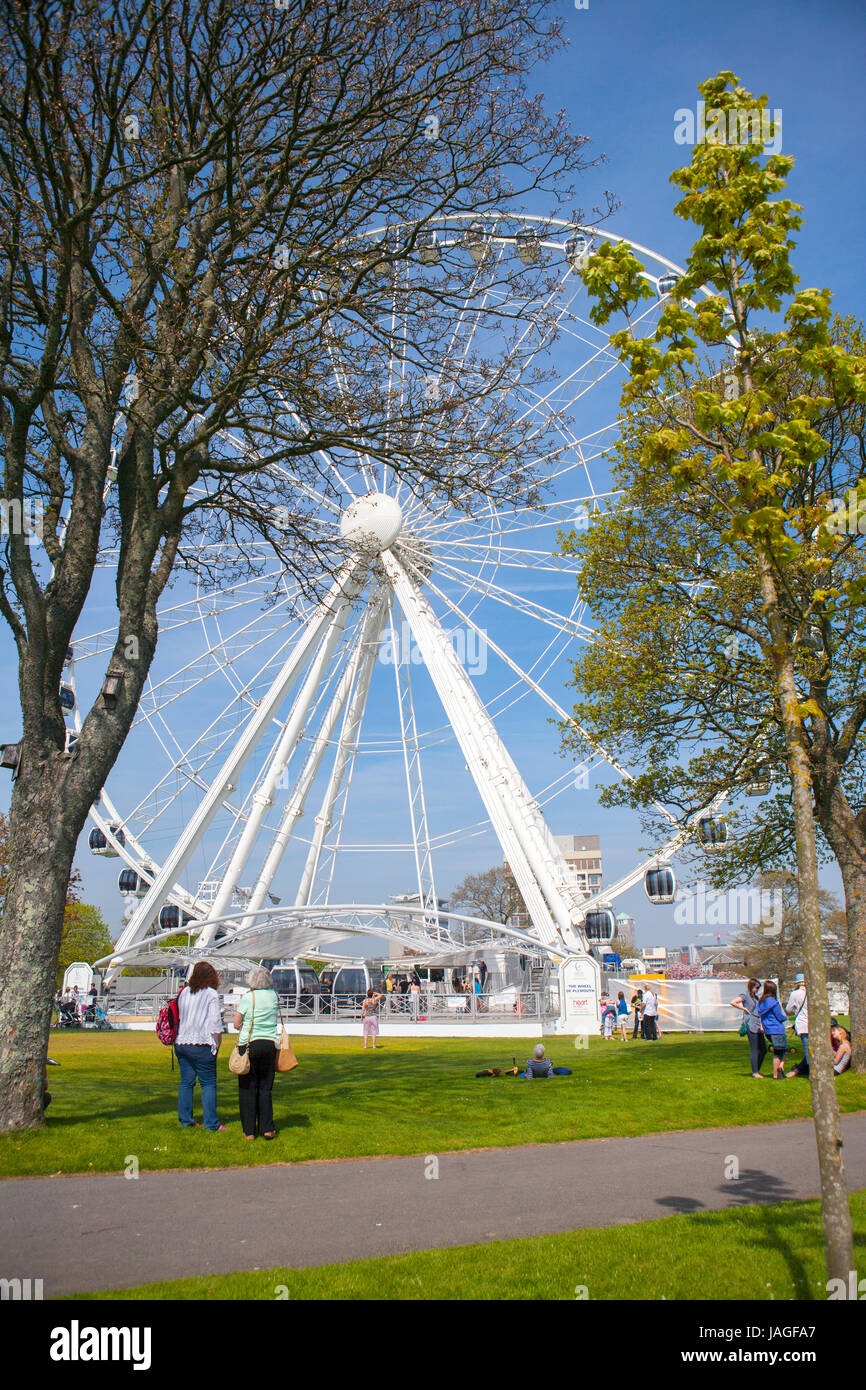 Das Riesenrad von Plymouth, eine 60-Meter-Riesenrad auf der Hacke, Plymouth, Devon, England, UK Stockfoto
