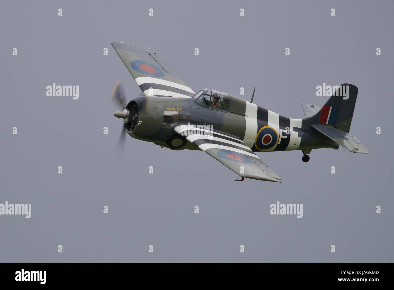 Grumman F4F Wildcat Stockfotografie - Alamy