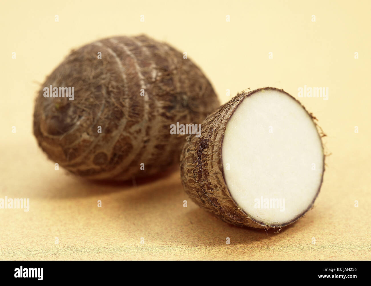 Taro oder Wasser Wurzel, Colocasia Esculenta, Knötchen, Dasheenpflanze, Stockfoto